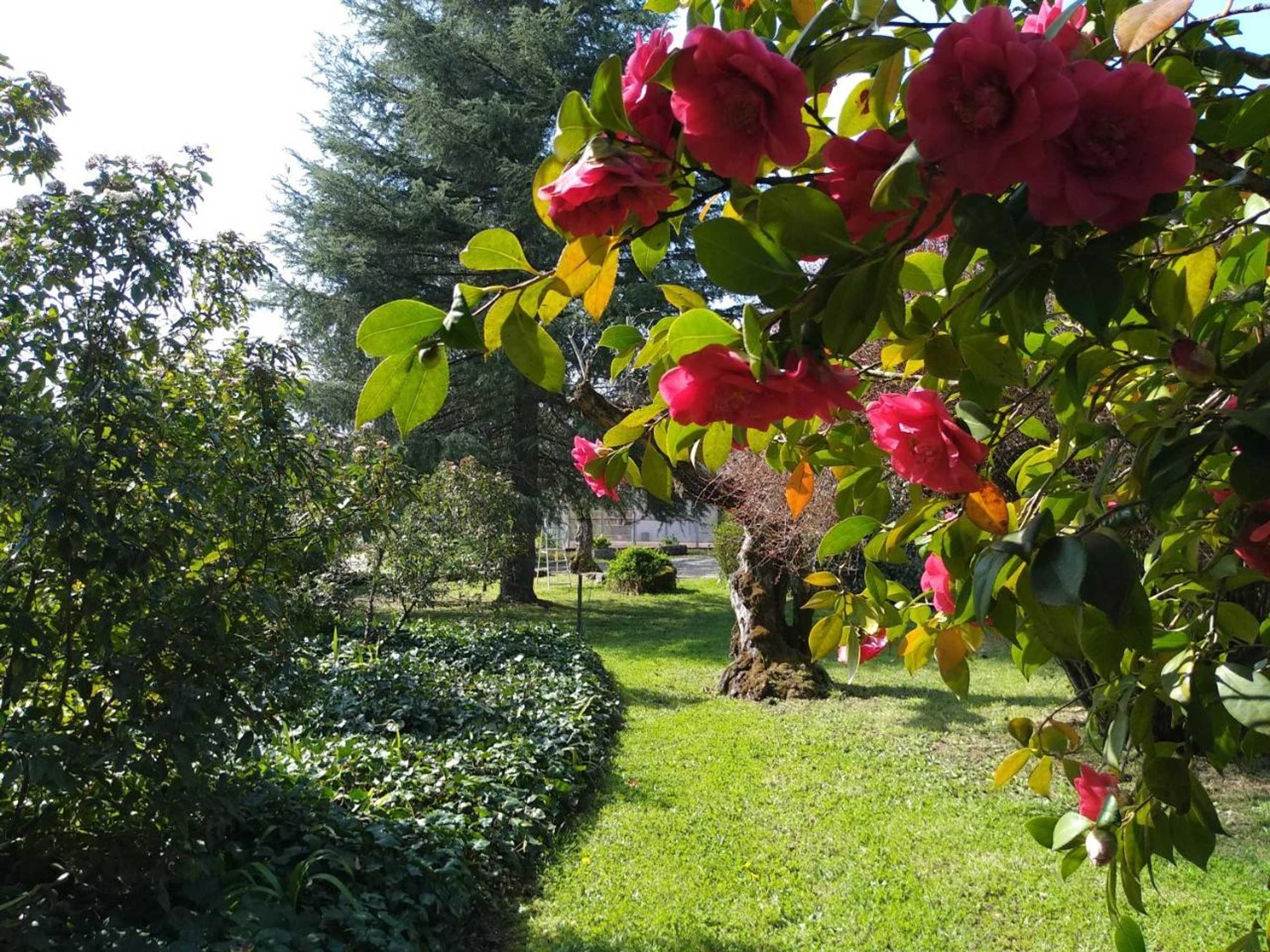 Gift card for Casas Do Zagao