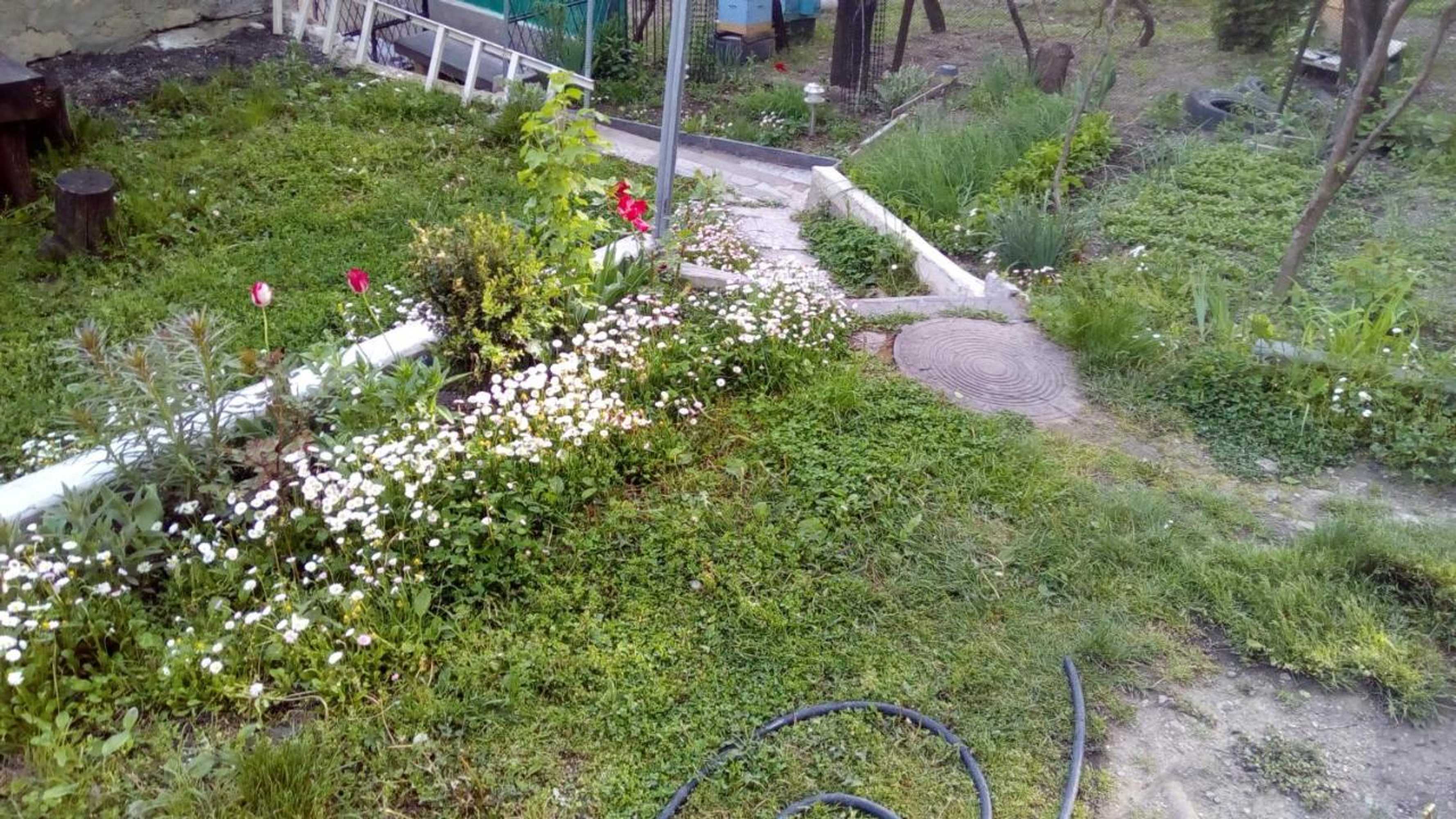 Gift card for Guest House Khatuna