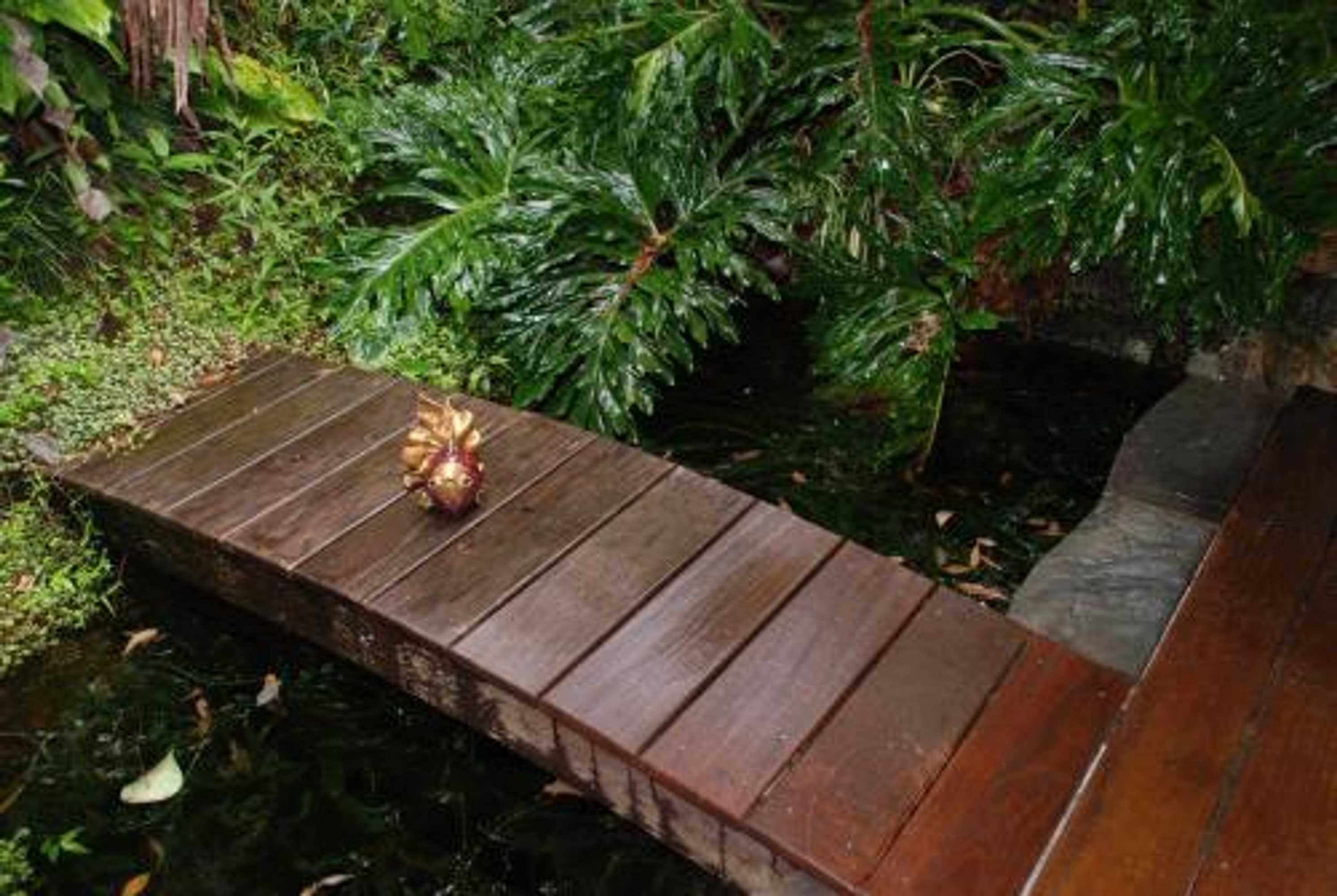 Gift card for Wollumbin Palms Rainforest Retreat Gift card for Wollumbin Palms Rainforest Retreat
