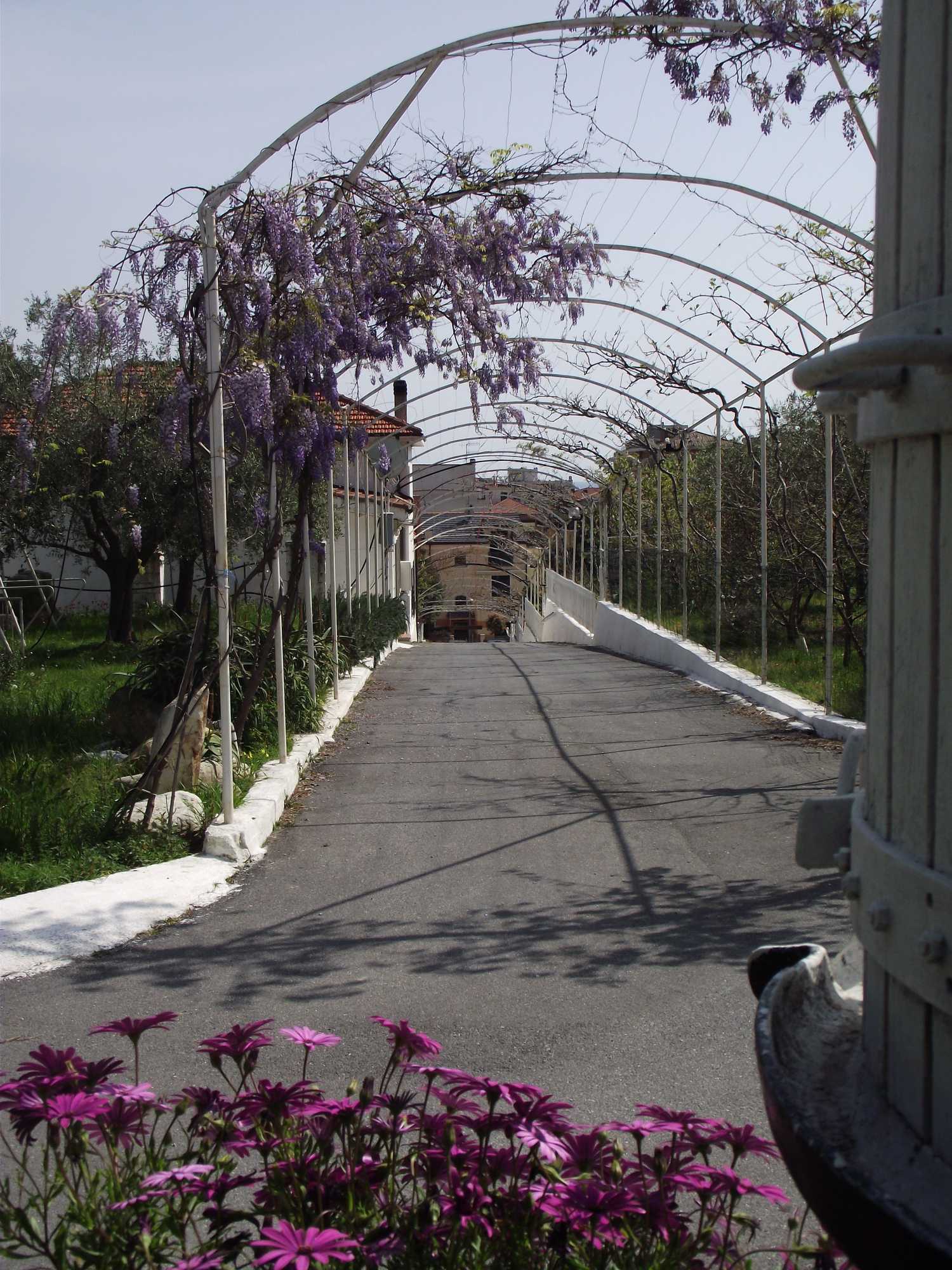 Gift card for Residence Il Borgo Degli Ulivi Resort