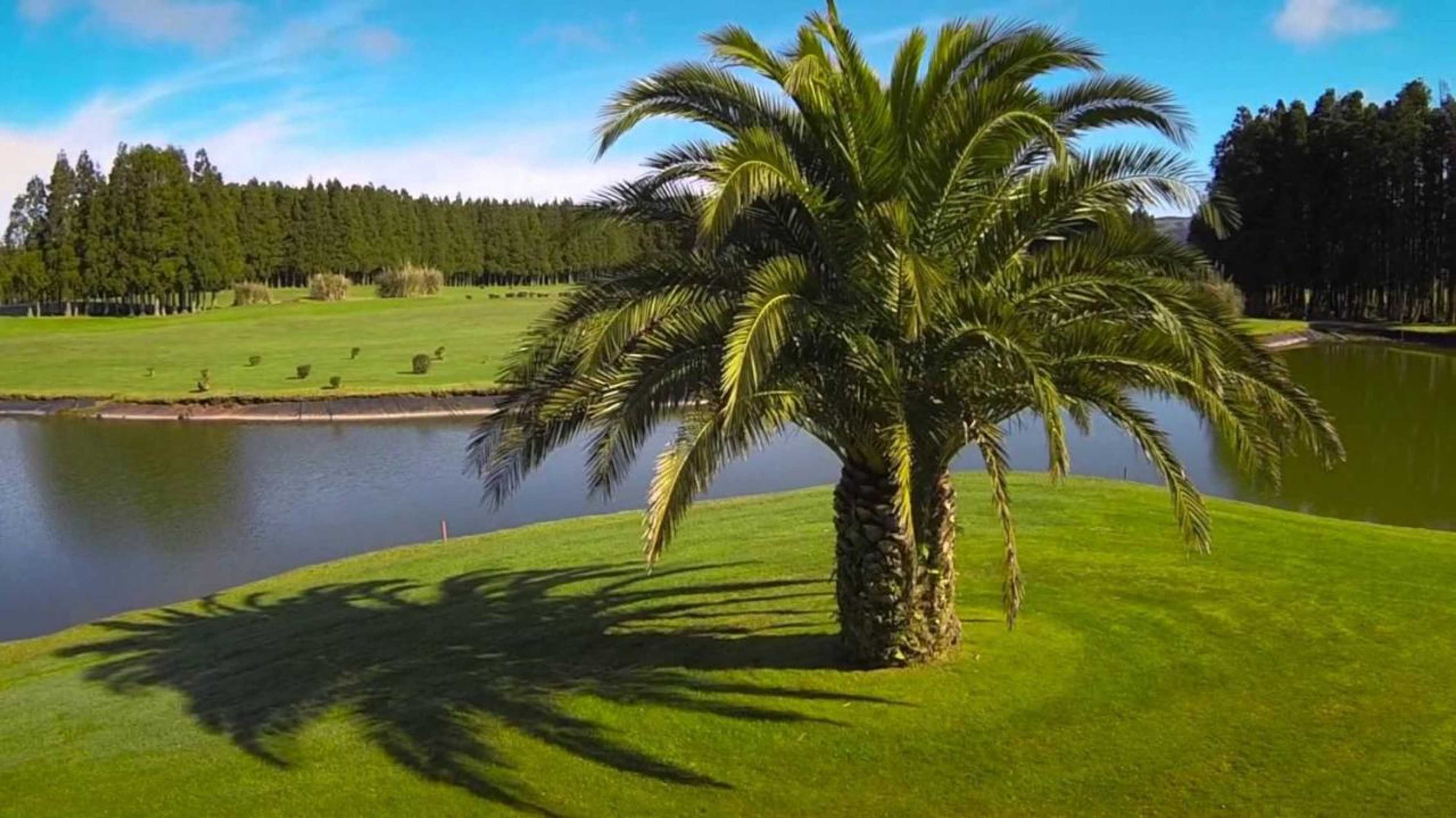 Gift card for Casa da Beija - House Azores