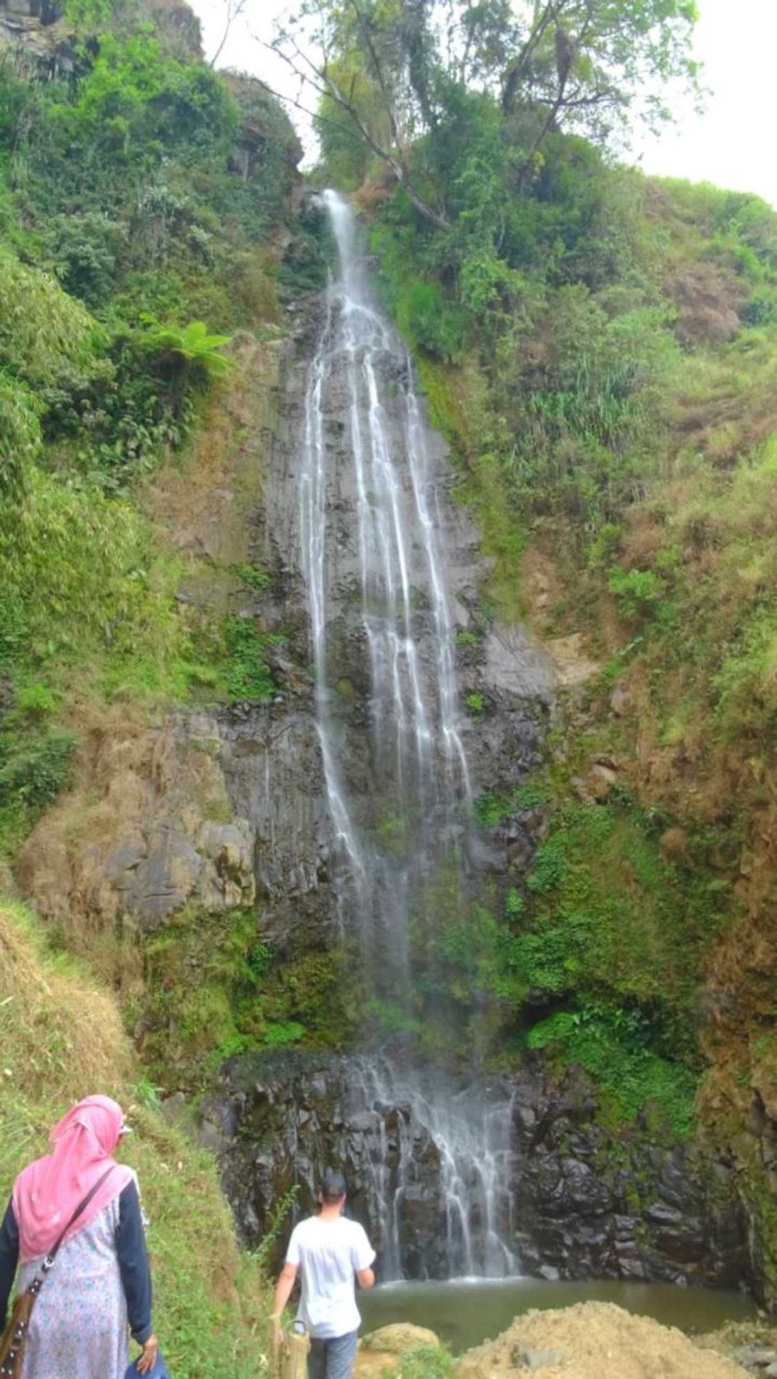 Gift card for Tridwi Homestay