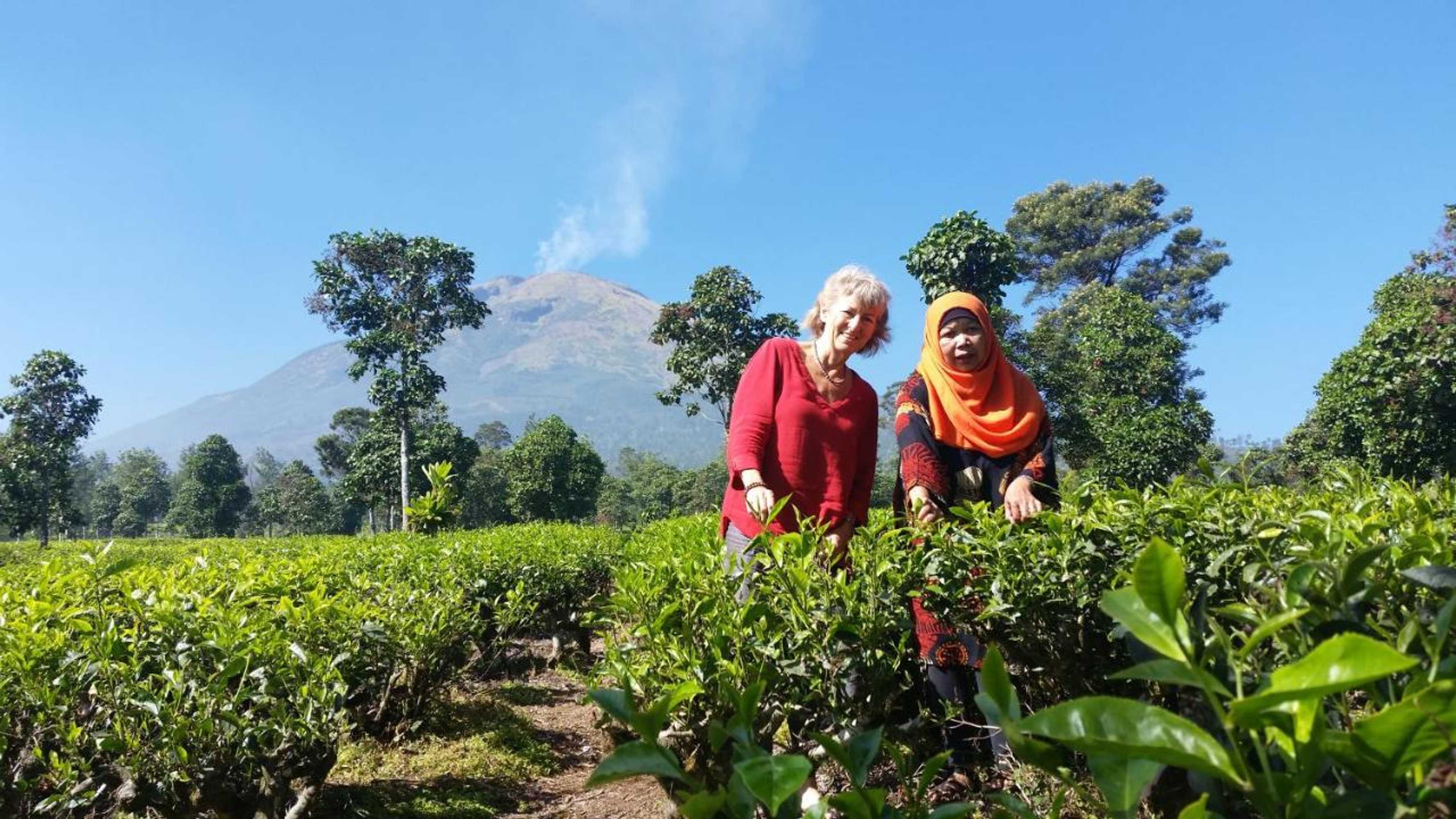 Gift card for Tridwi Homestay