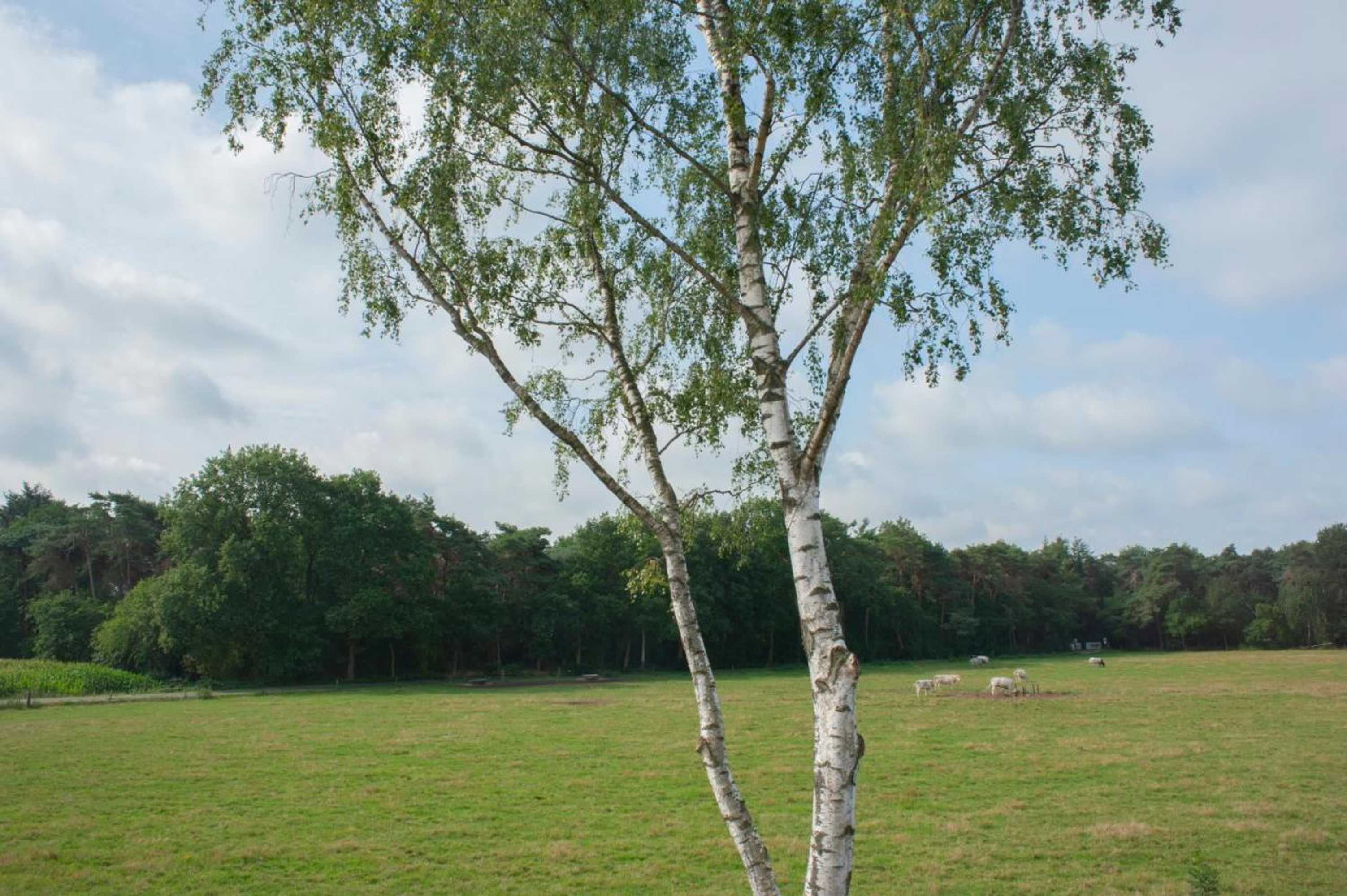 Gift card for Hotel de Boshoek