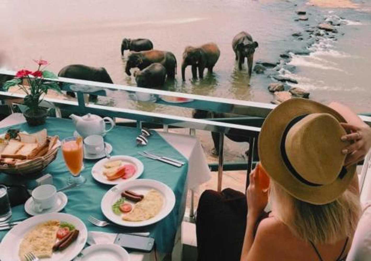 Gift card for Hotel Elephant Park - New Deal! Half Off Airport Pickups Available
