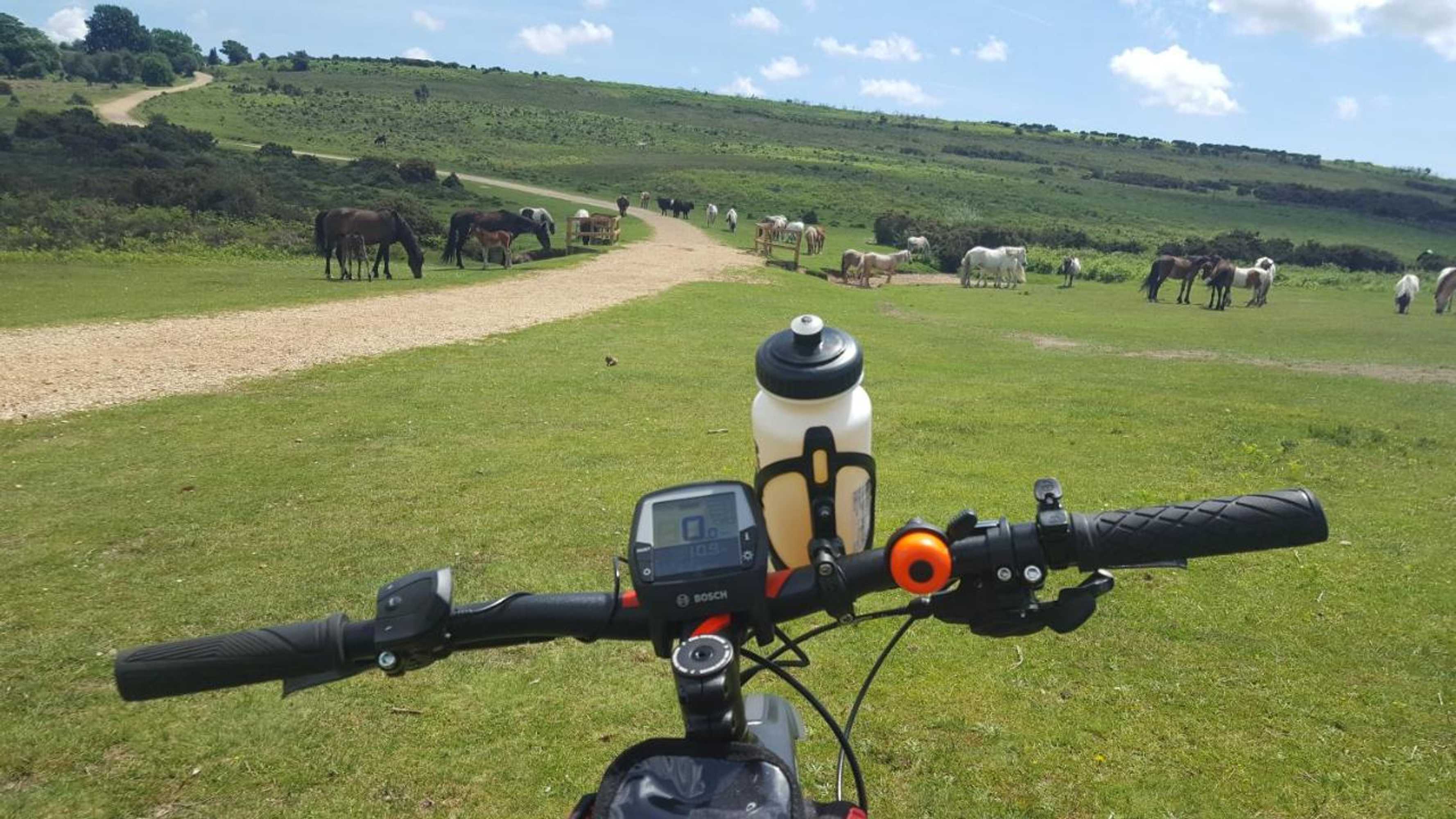 Gift card for Cypress Log Cabins Accommodation Gift card for Cypress Log Cabins Accommodation