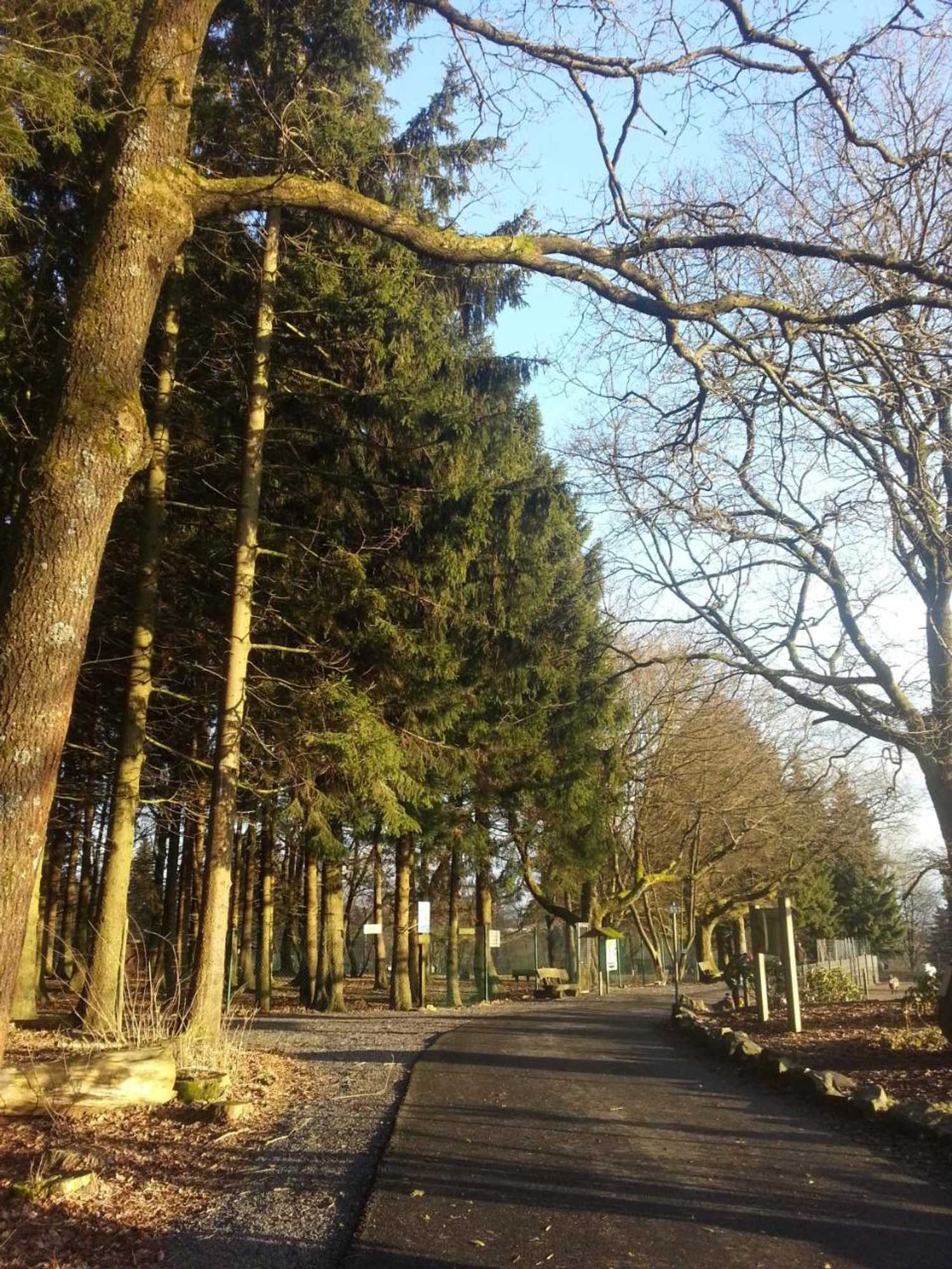 Gift card for Ferienwohnungen Angela