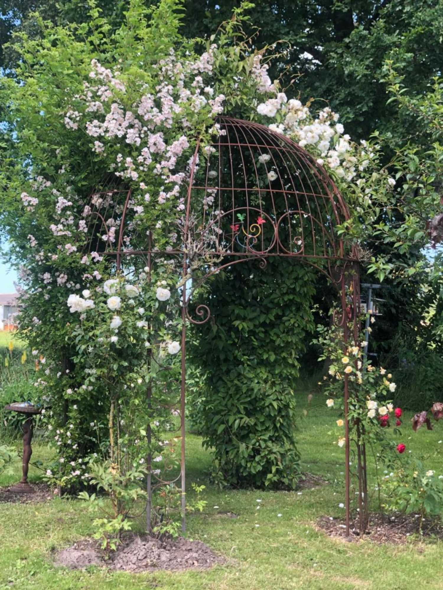 Gift card for The Black Horse B&b & More