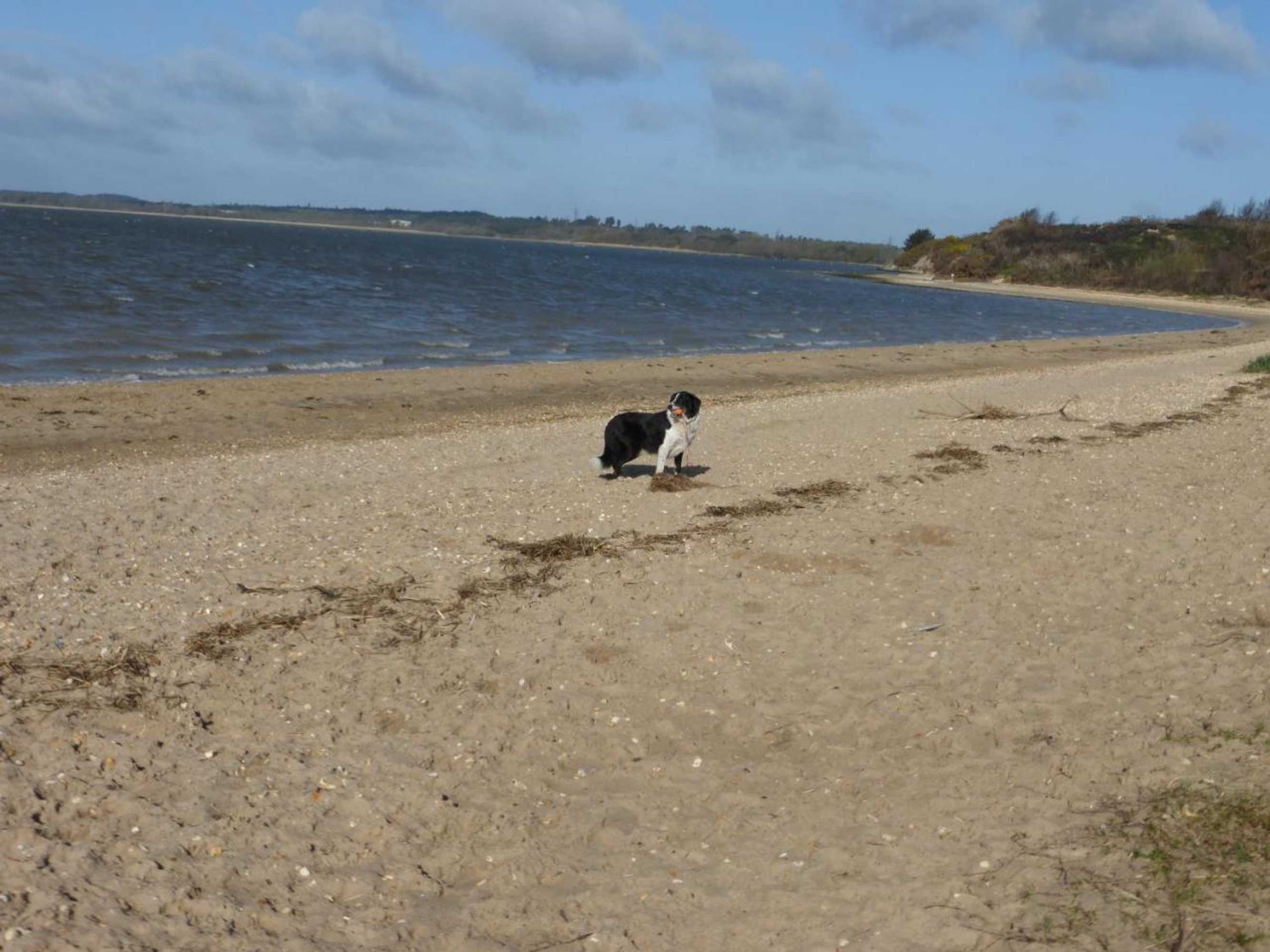 Gift card for Rockley Holidays Gift card for Rockley Holidays