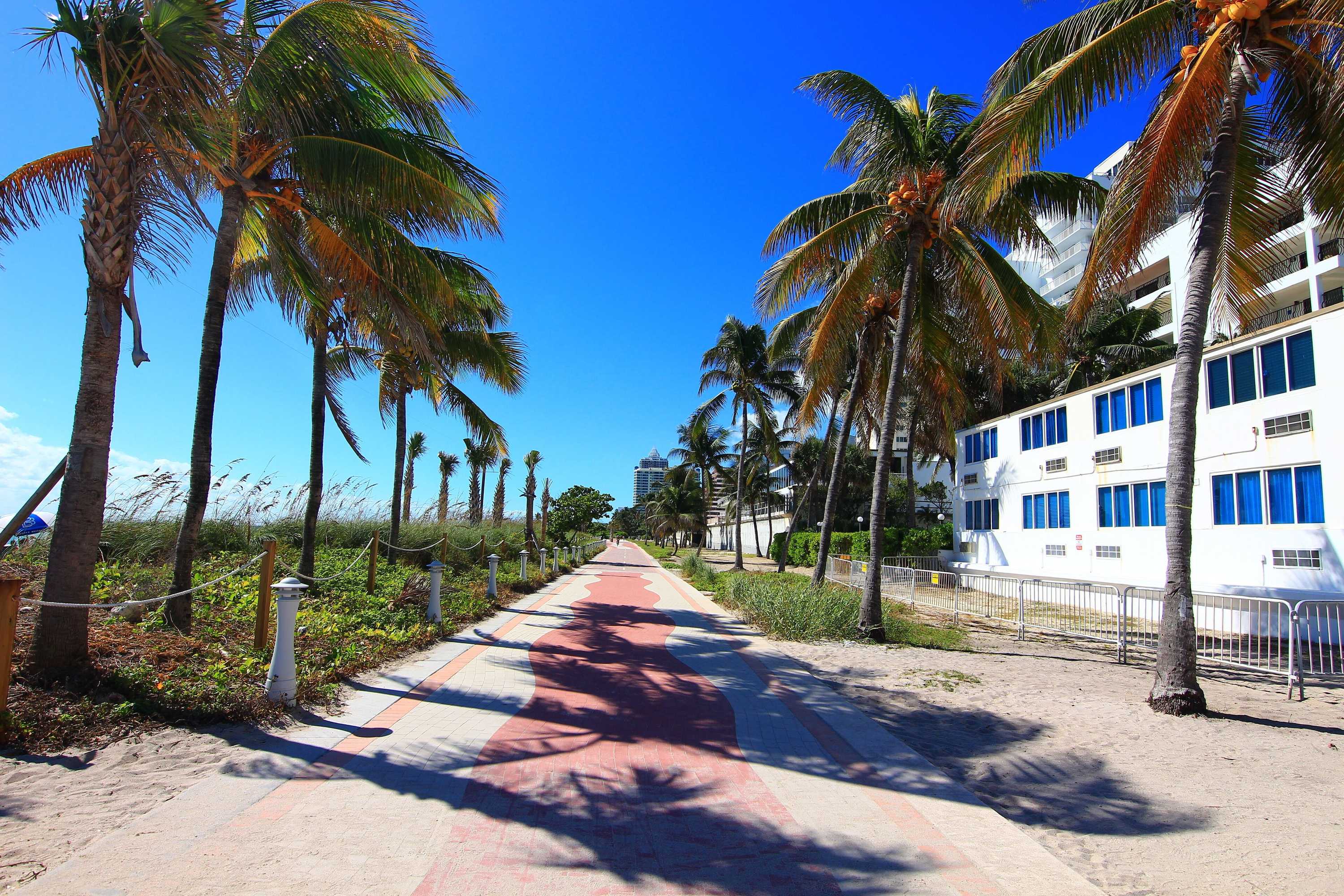Gift card for Castle Beach Suites by Miarentals Gift card for Castle Beach Suites by Miarentals
