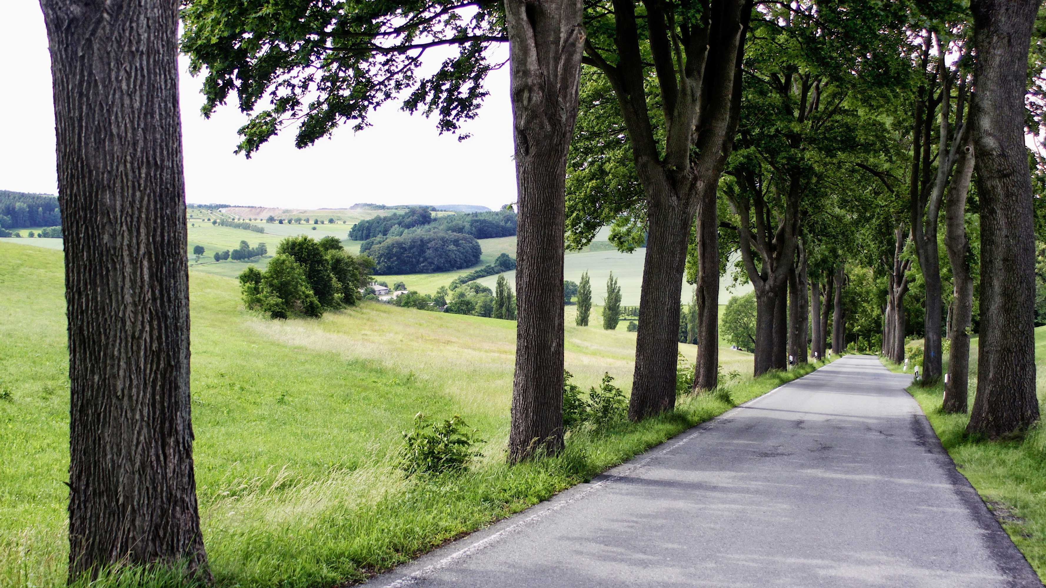 Gift card for Ferienhaus Drebach