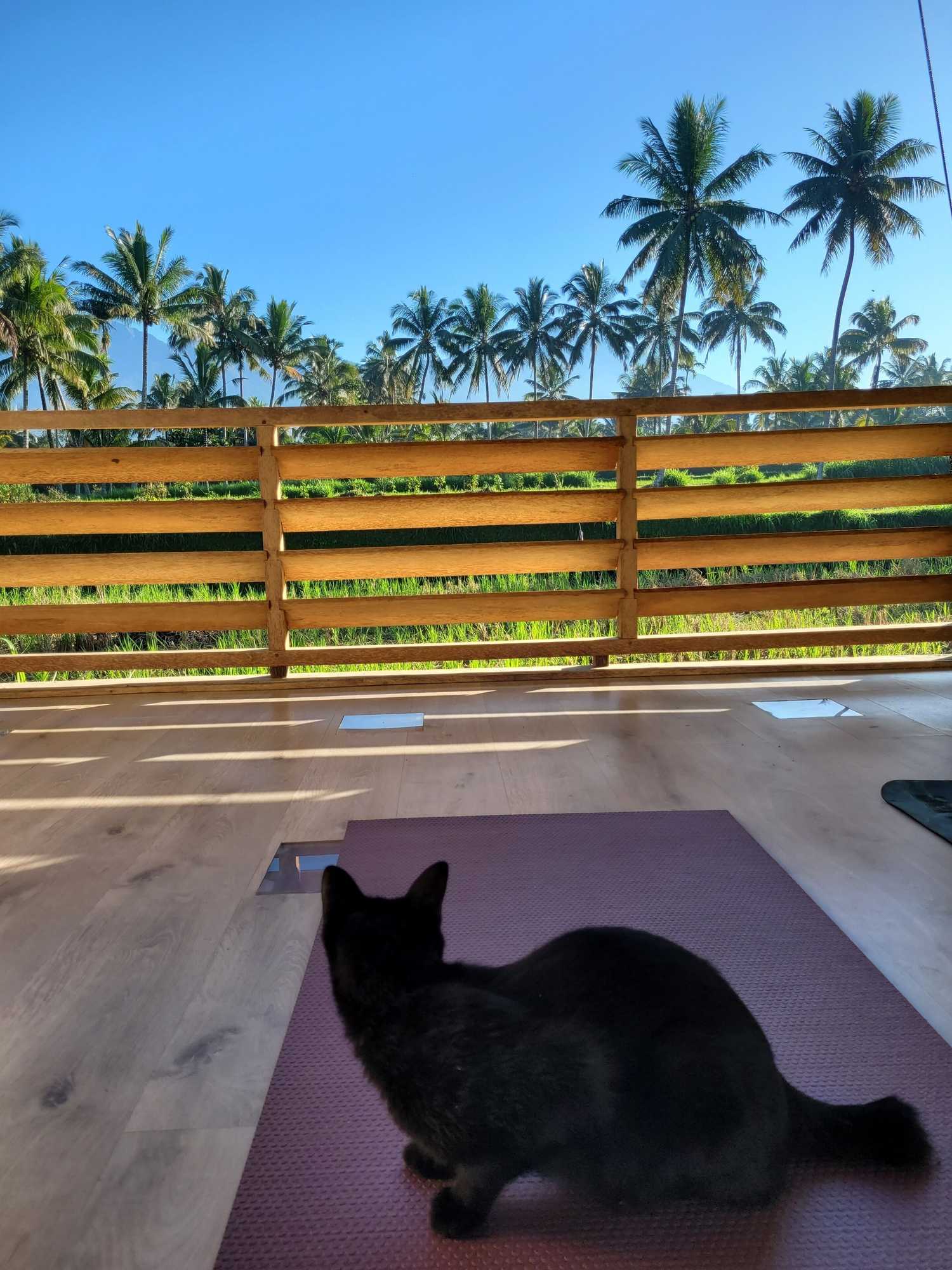 Gift card for Les Rizieres Lombok - Tetebatu