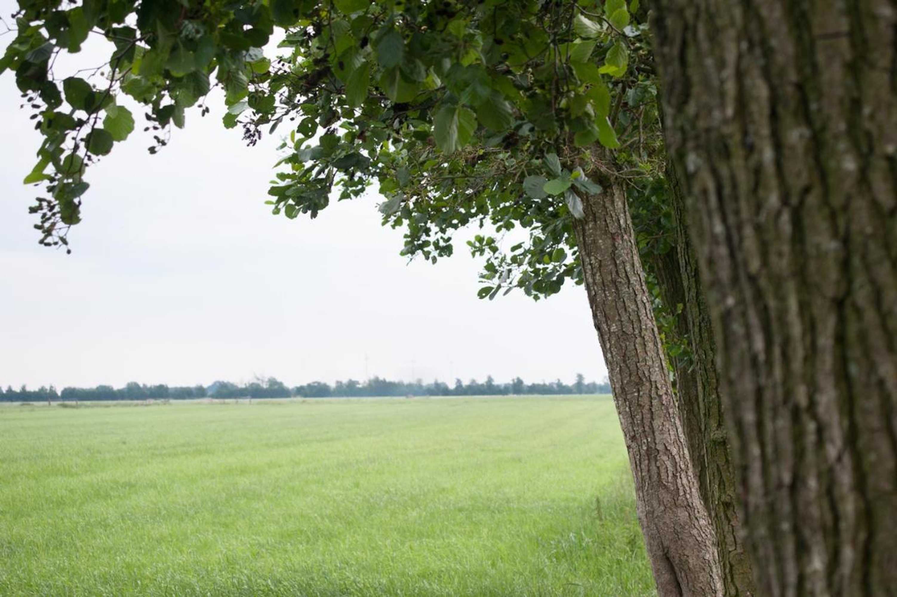 Gift card for Het Jaarsveldhof