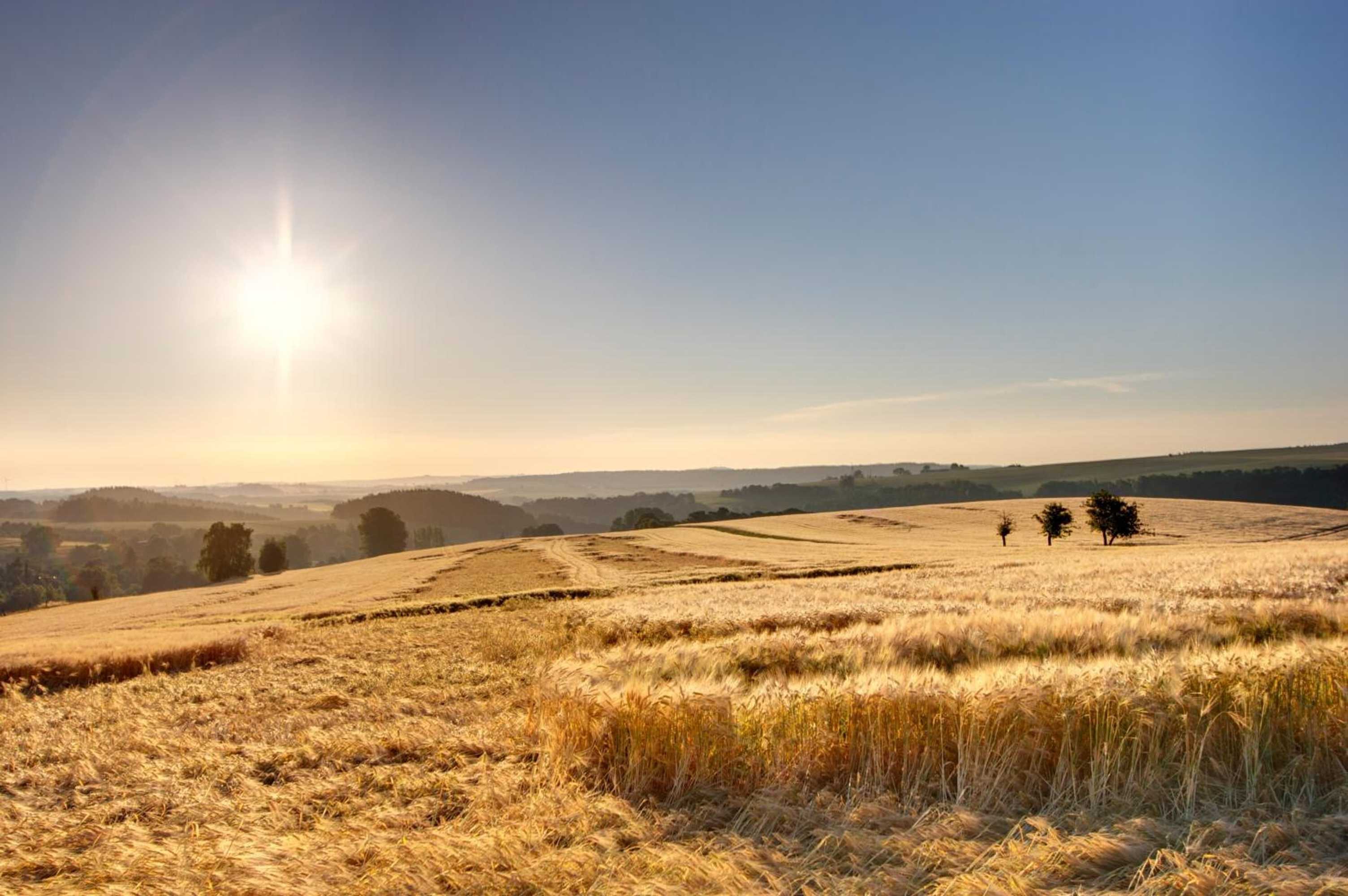 Gift card for Hotel Neue HÖhe
