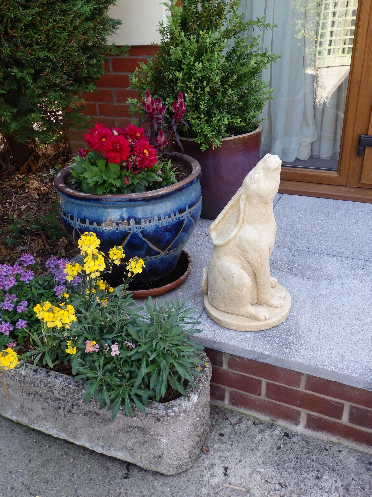 Gift card for Rosehip Cottage