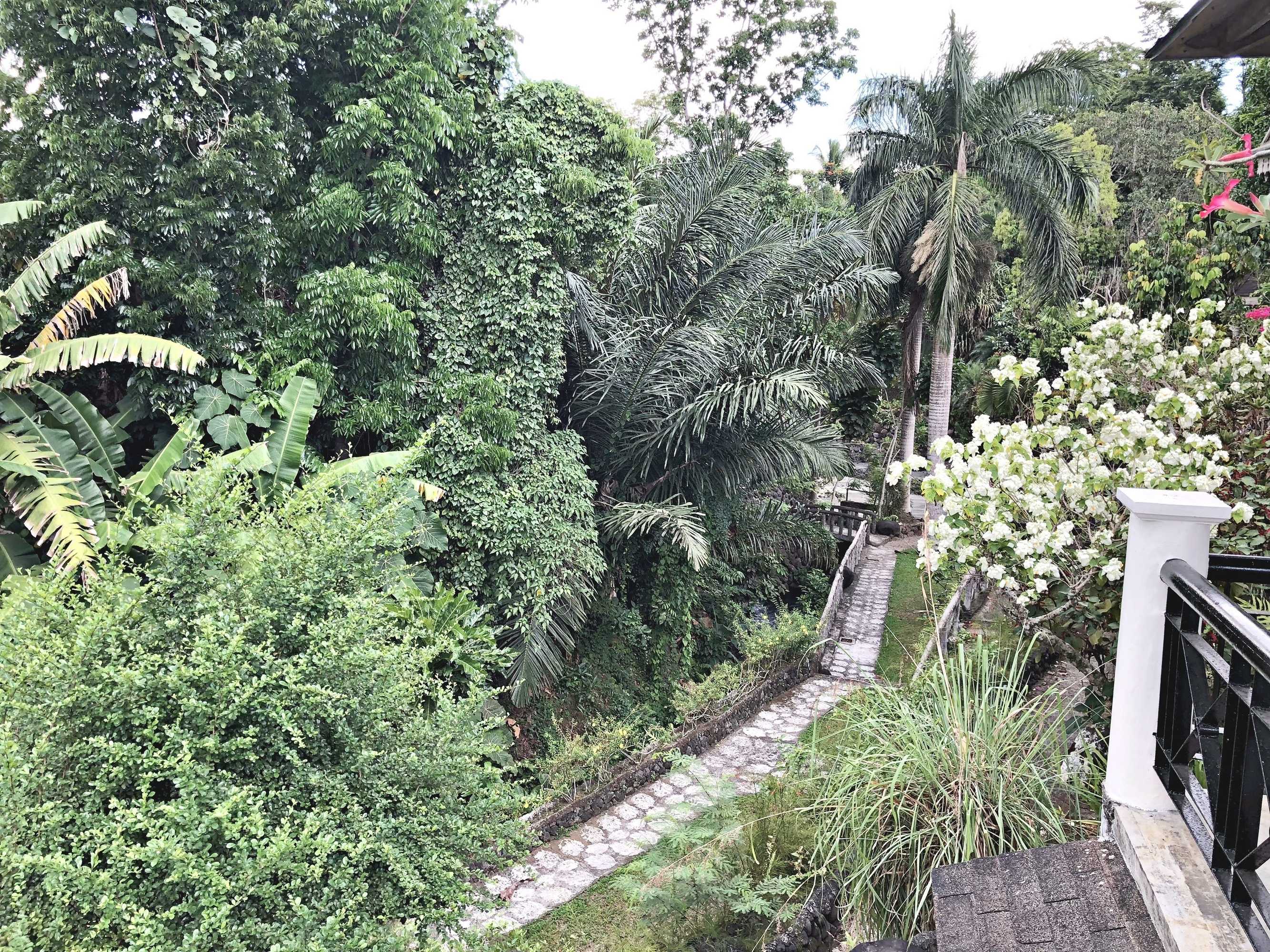Gift card for Overlooking Lagoon at Sitio de Amor Gift card for Overlooking Lagoon at Sitio de Amor