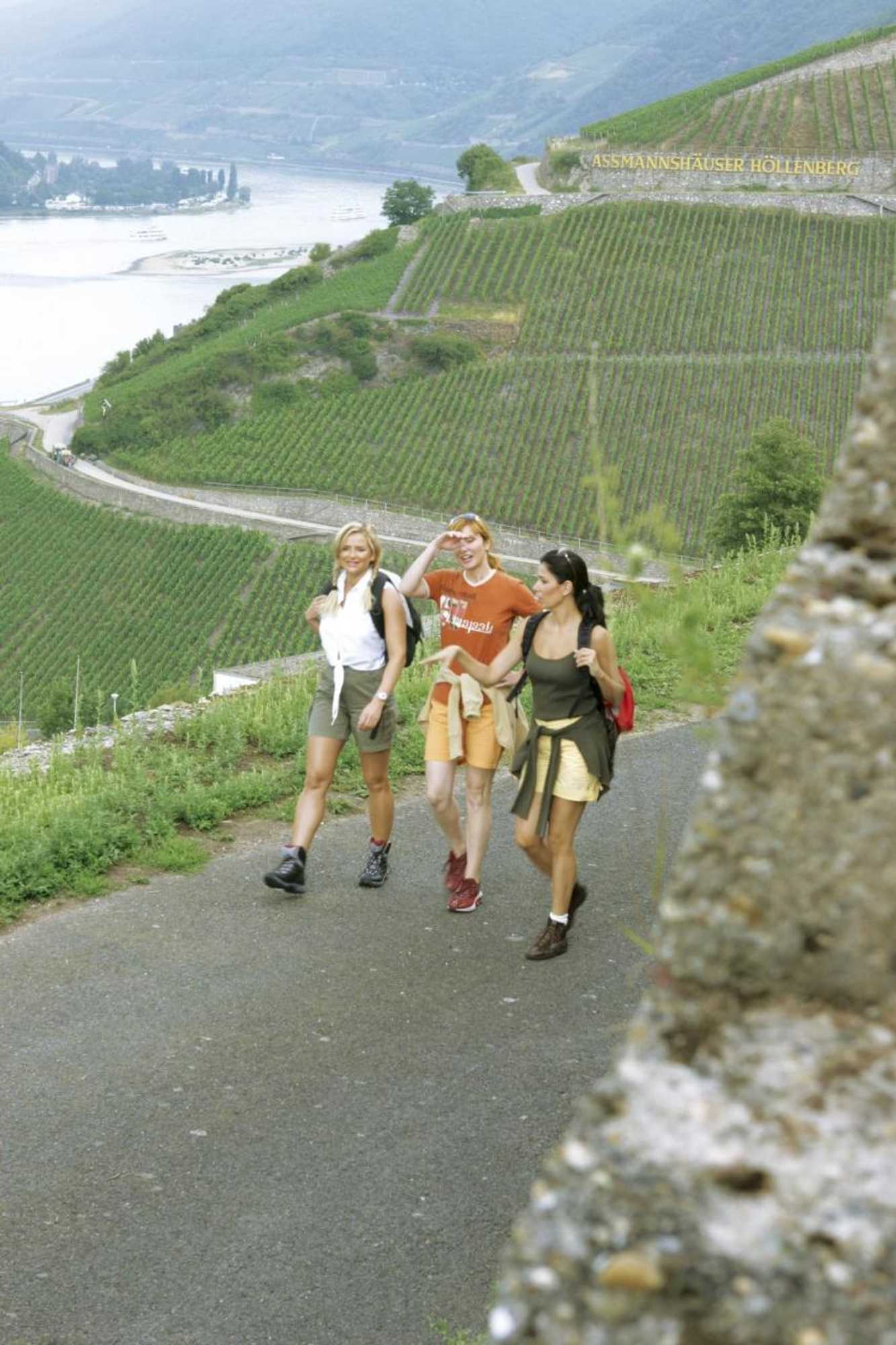 Gift card for Bellevue Rheinhotel