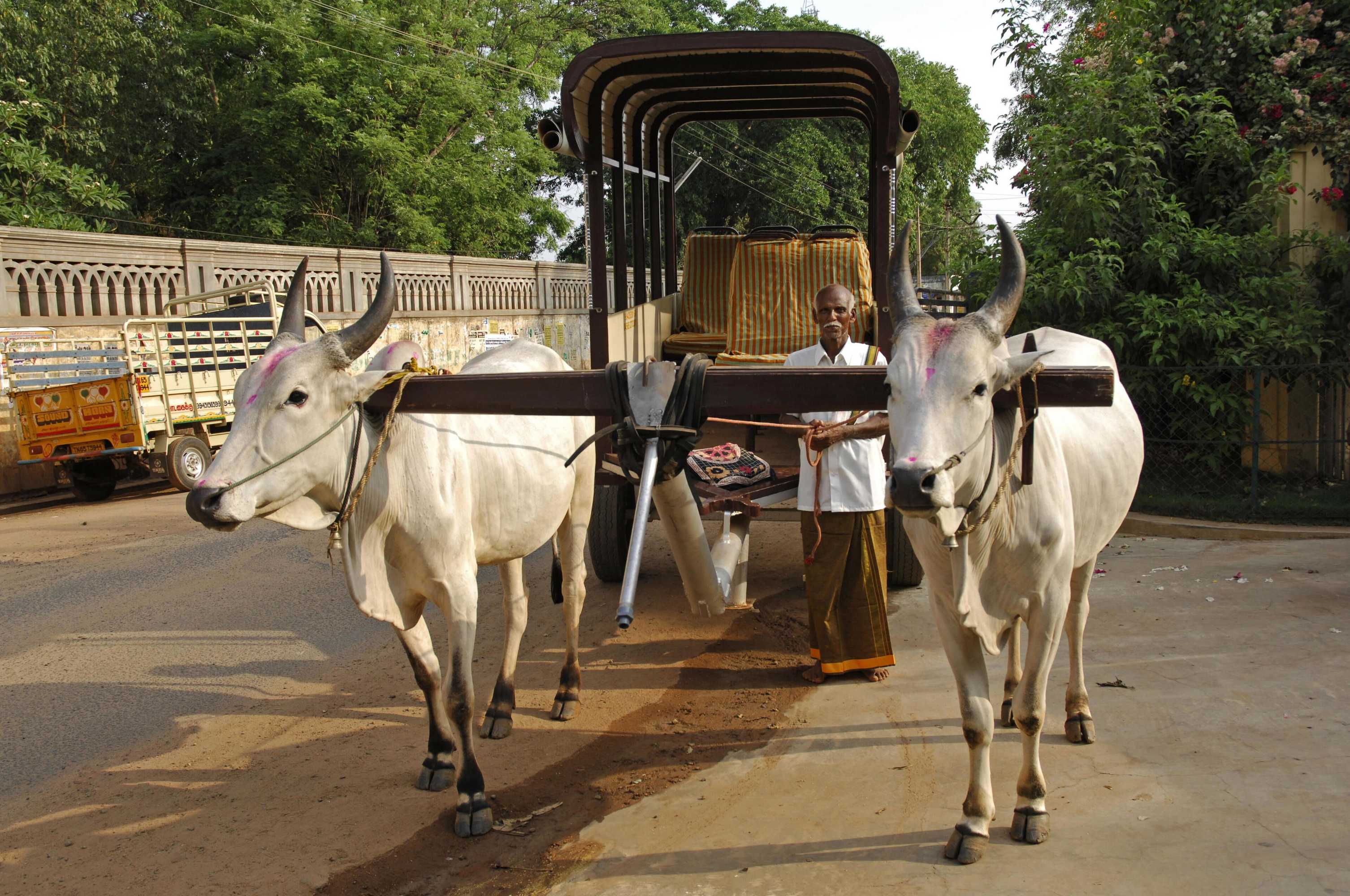 Gift card for Visalam Chettinad Palace - a Cgh Earth Experience