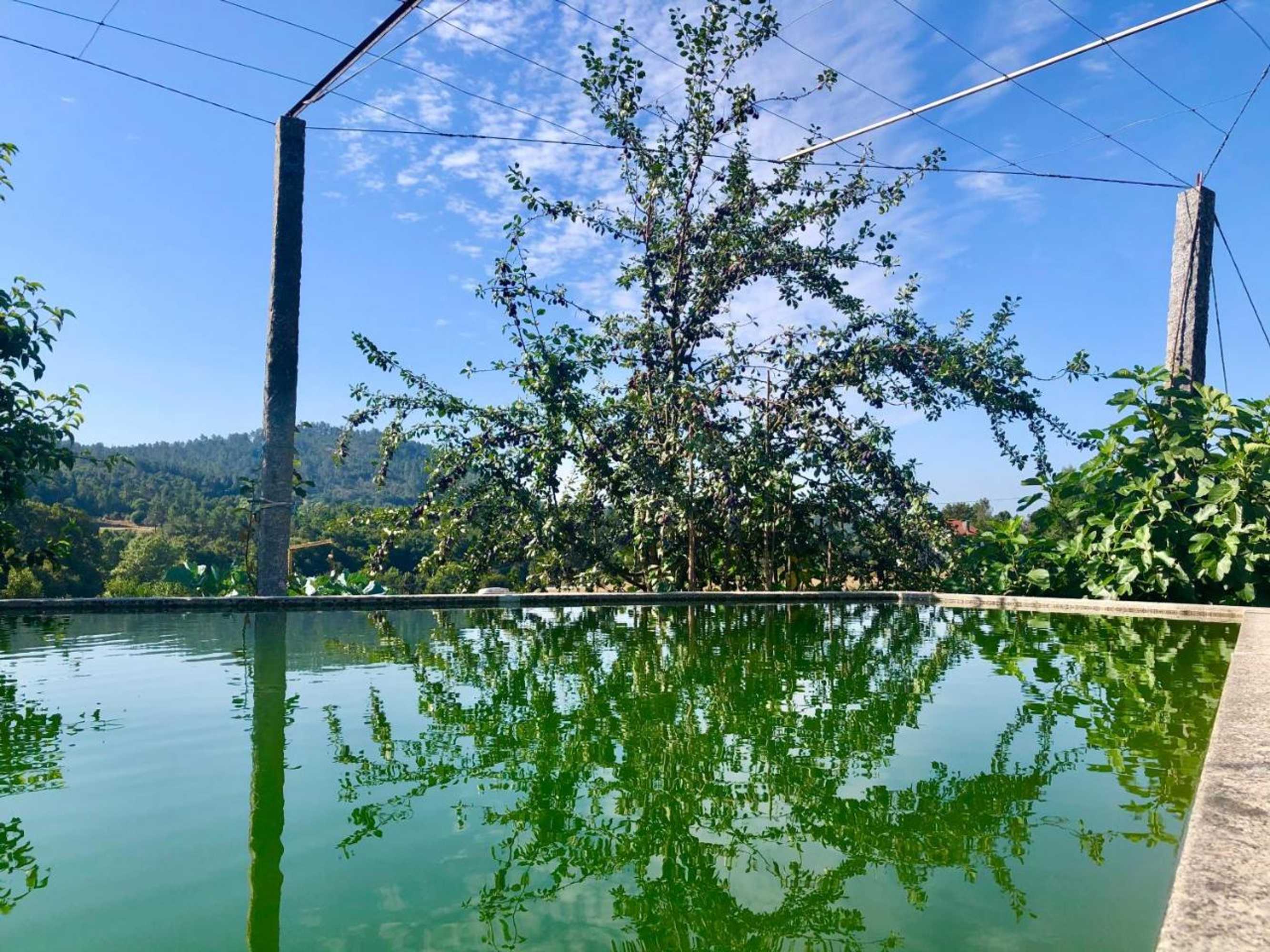 Gift card for Casa da Quinta da Prelada Simão