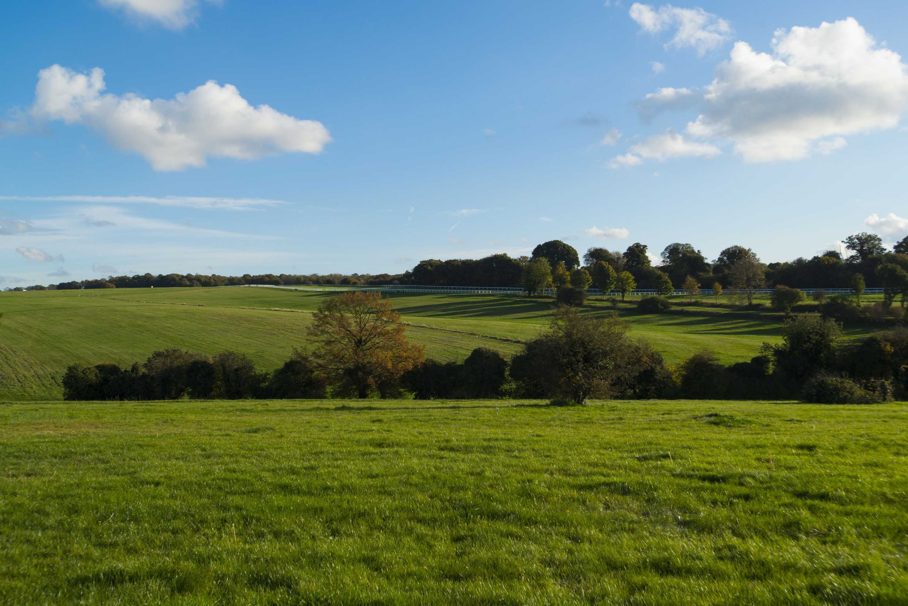 Gift card for Holiday Inn Express London-Epsom Downs by Ihg