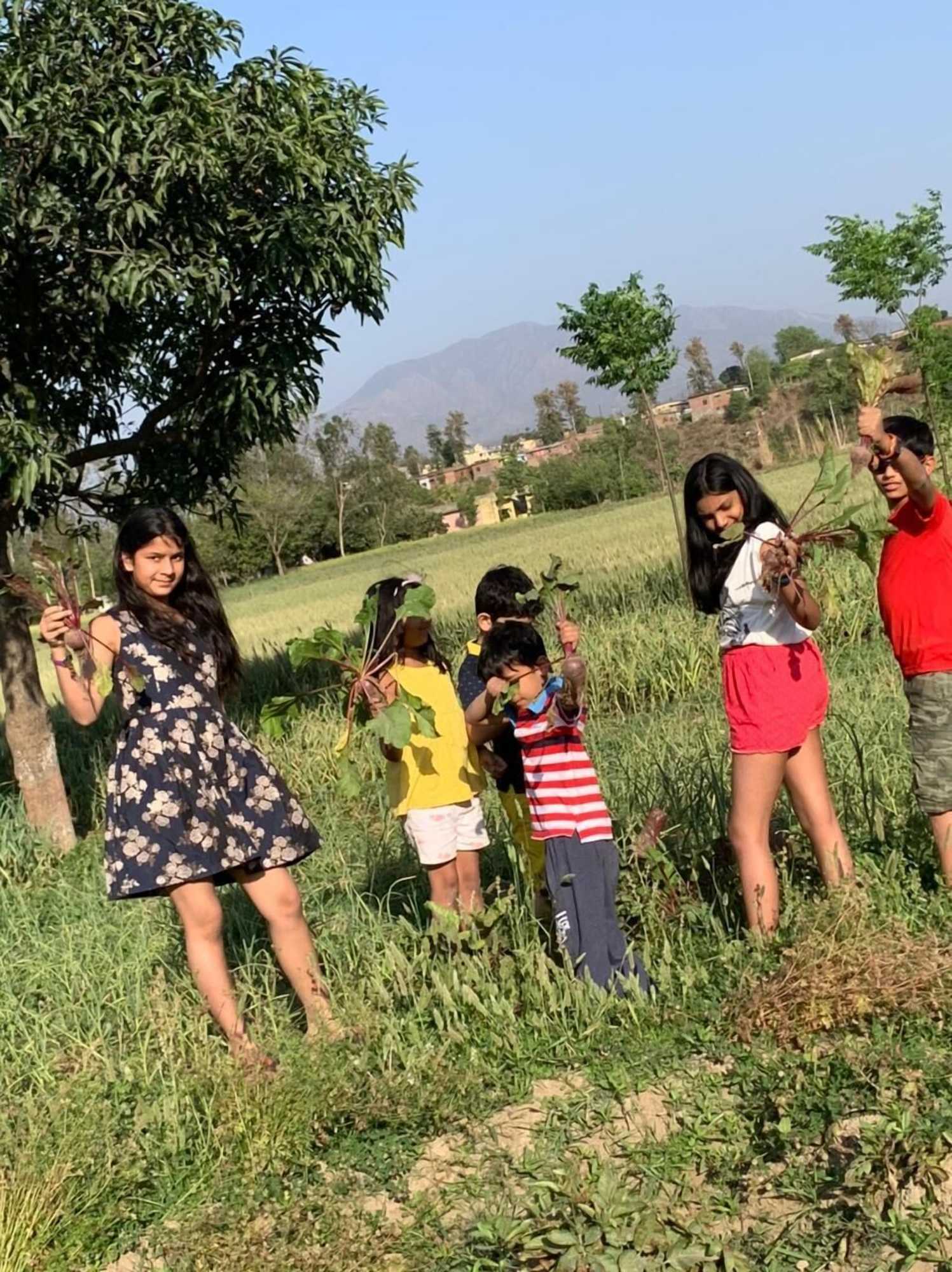 Gift card for Sukoon Retreat Dakpathar