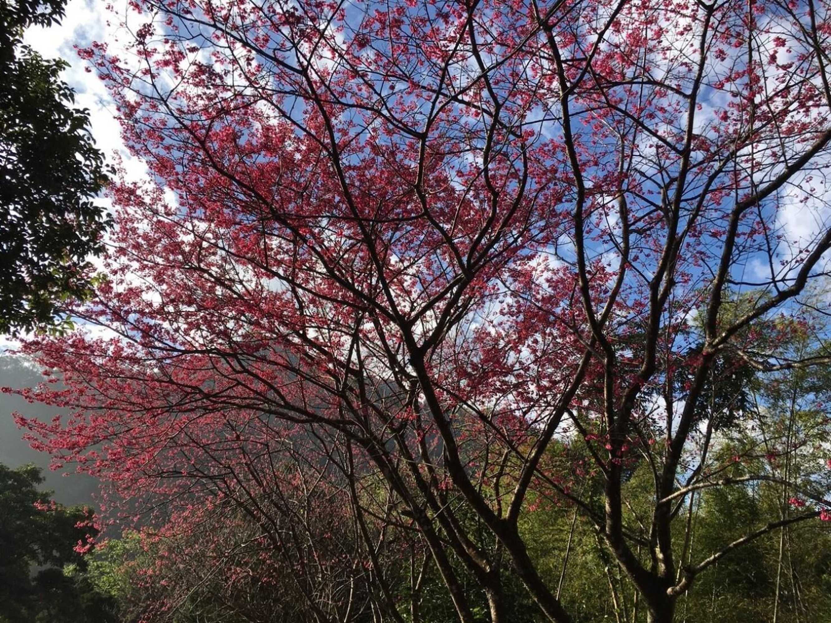 Gift card for Xianshan Homestay