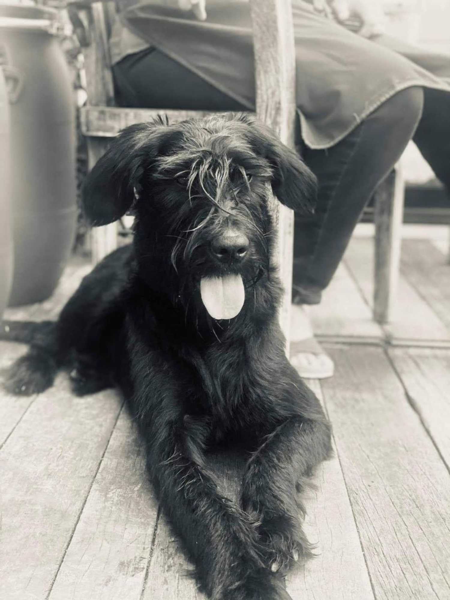 Gift card for B&b Art.14