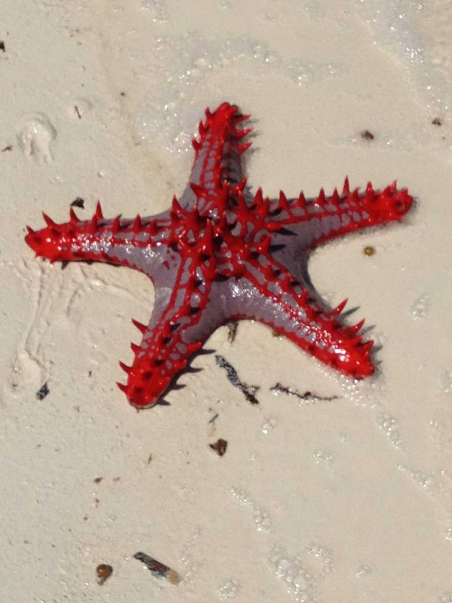 Gift card for Emerald Bay Resort