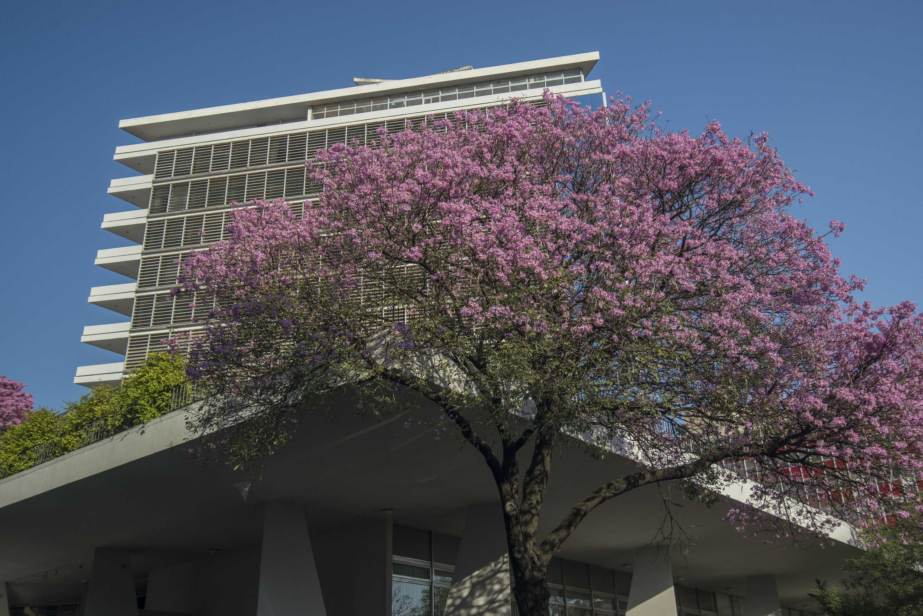 Gift card for Hotel Guarani Asuncion Gift card for Hotel Guarani Asuncion