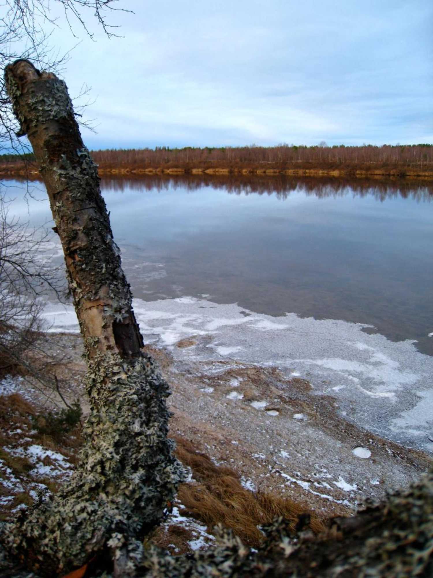 Gift card for Guesthouse Golden Goose