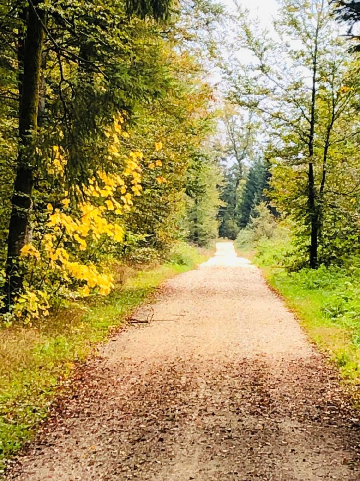 Gift card for Villa Kunterbunt