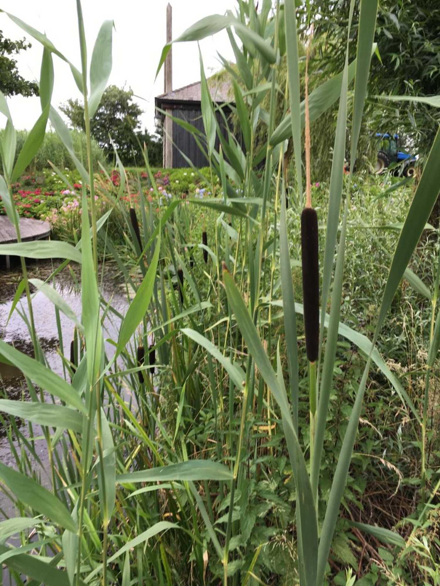 Gift card for Private Island De Sayter