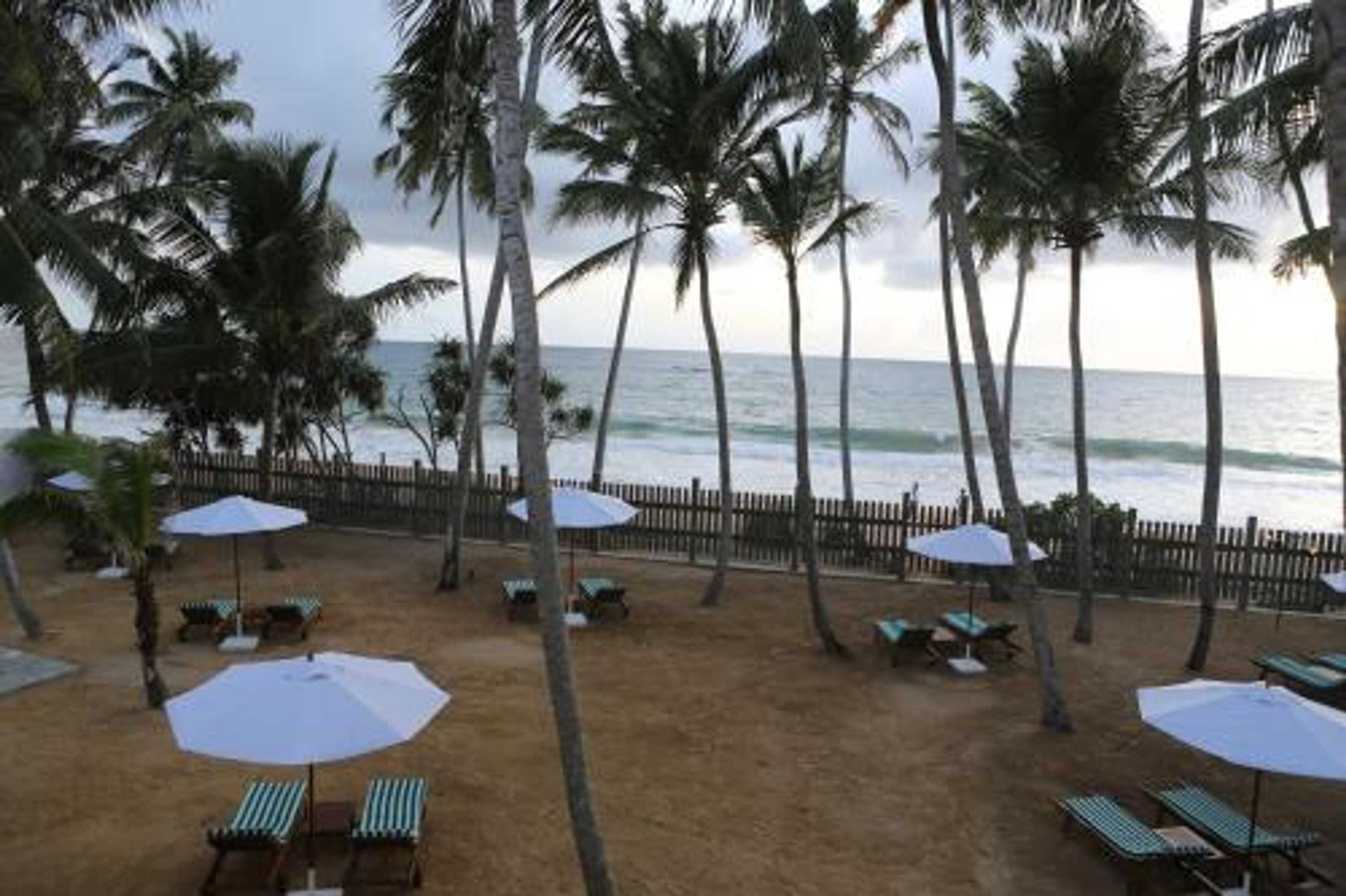 Gift card for Oasis Ayurveda Beach Hotel Gift card for Oasis Ayurveda Beach Hotel