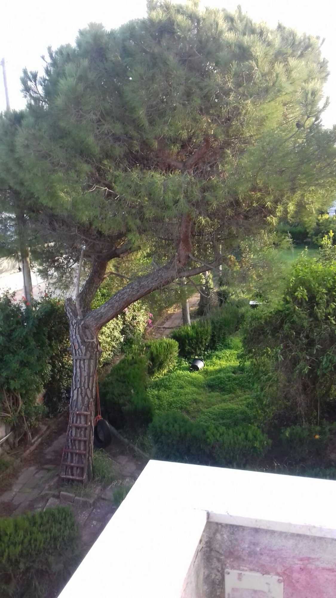 Gift card for Villa Alma, Independent Apartment In Villa 700mt to The Sea Gift card for Villa Alma, Independent Apartment In Villa 700mt to The Sea