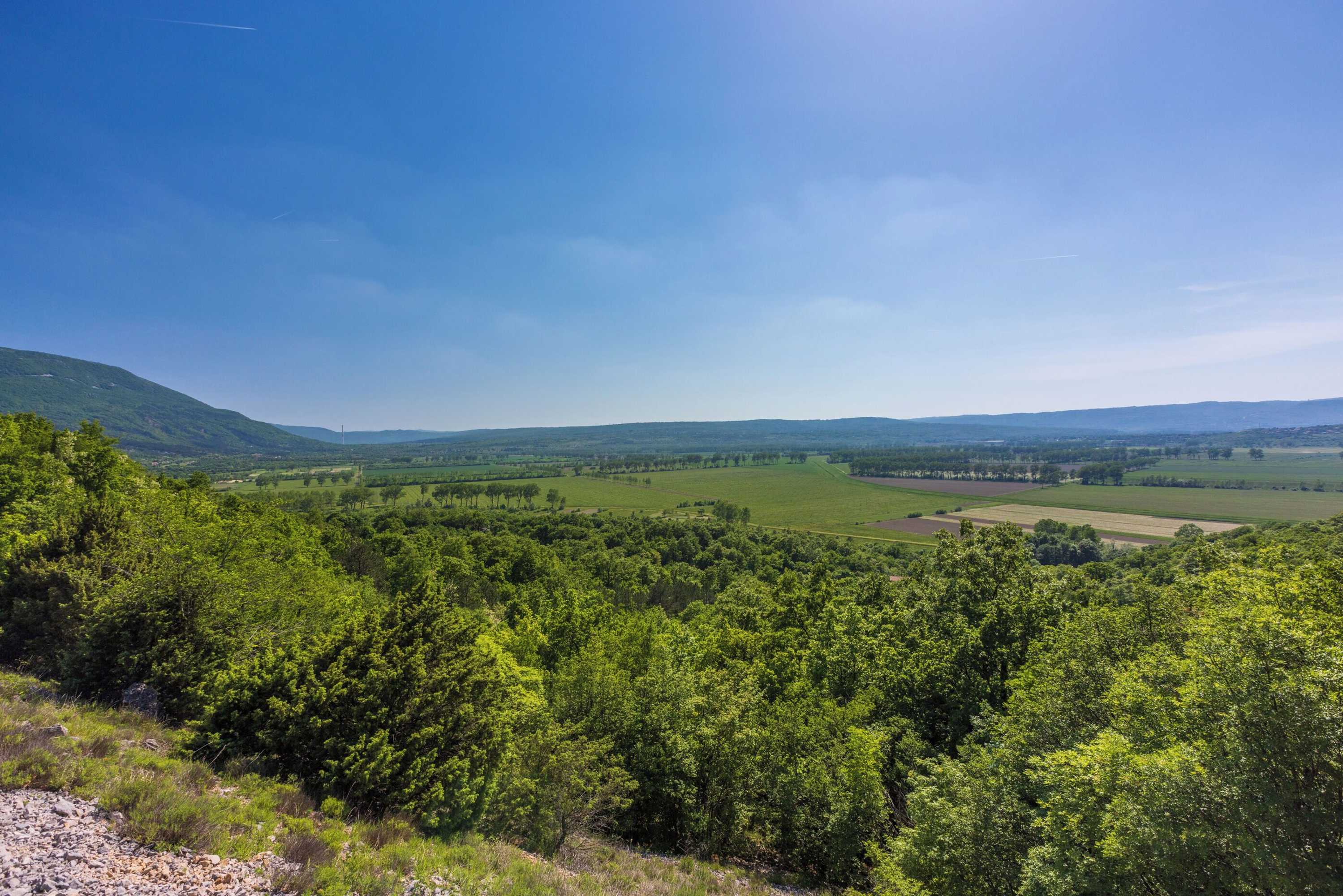 Gift card for House Nado