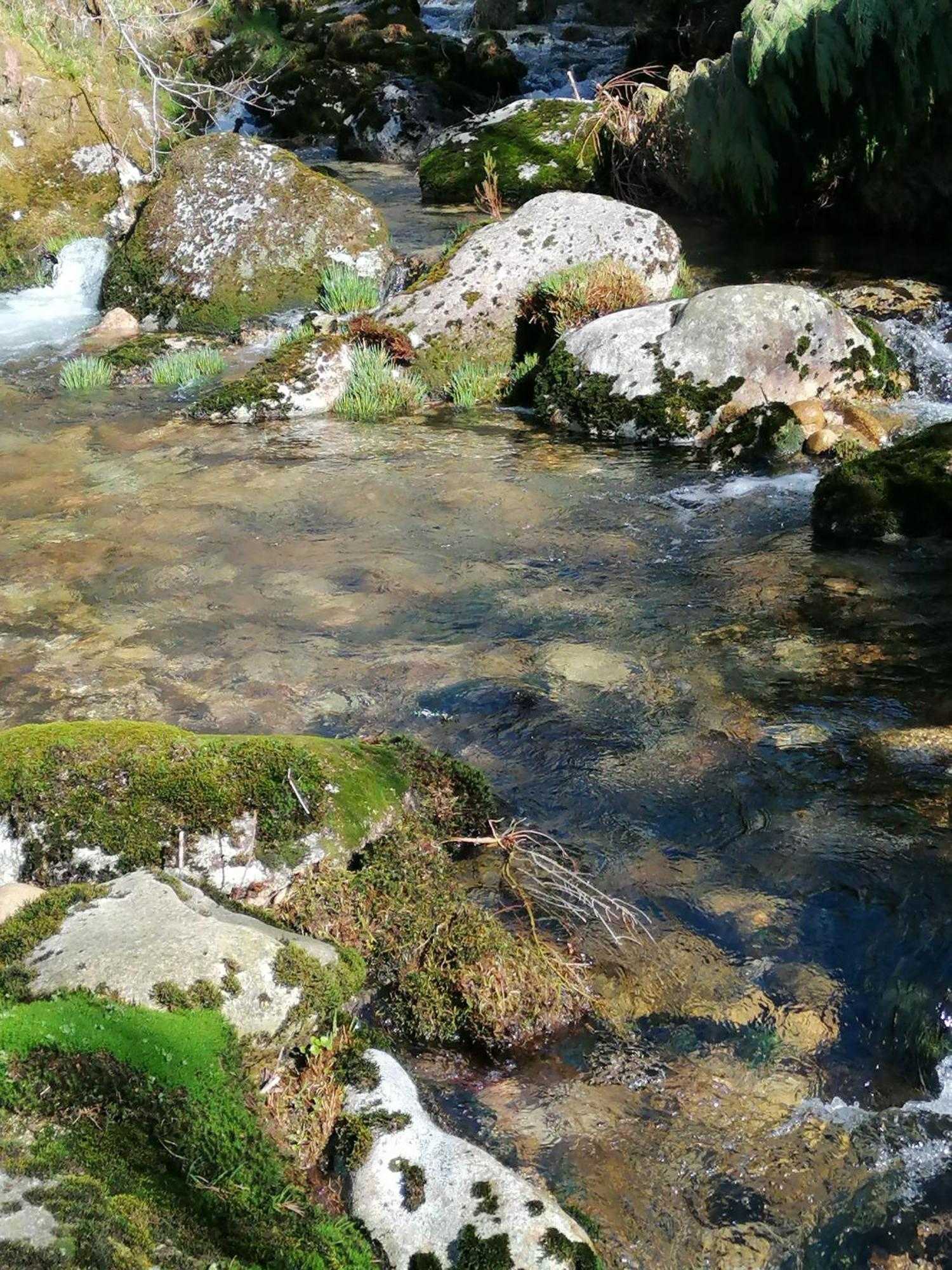 Gift card for Casa Fundevila