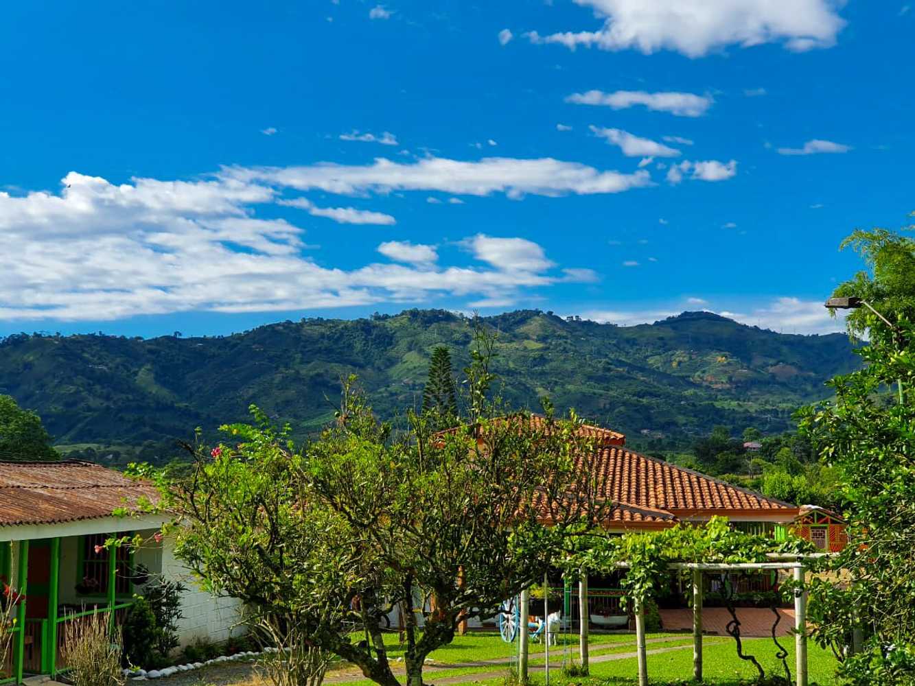 Gift card for Room in Lodge - Tree House Finca La Floresta Verde
