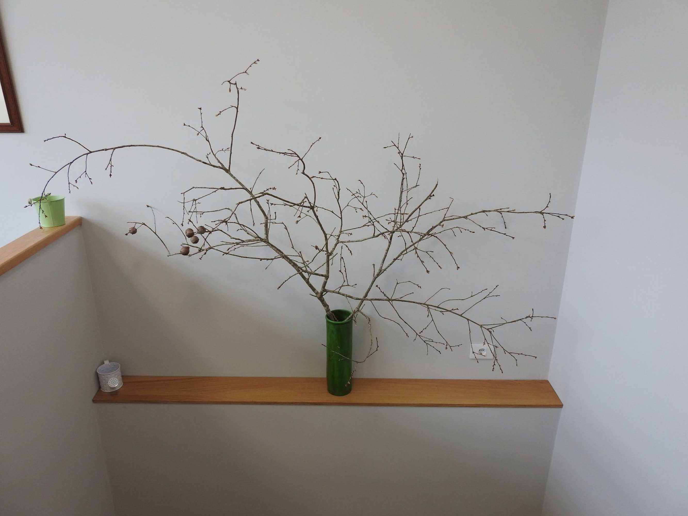 Gift card for Albergue Buen Camino Tui