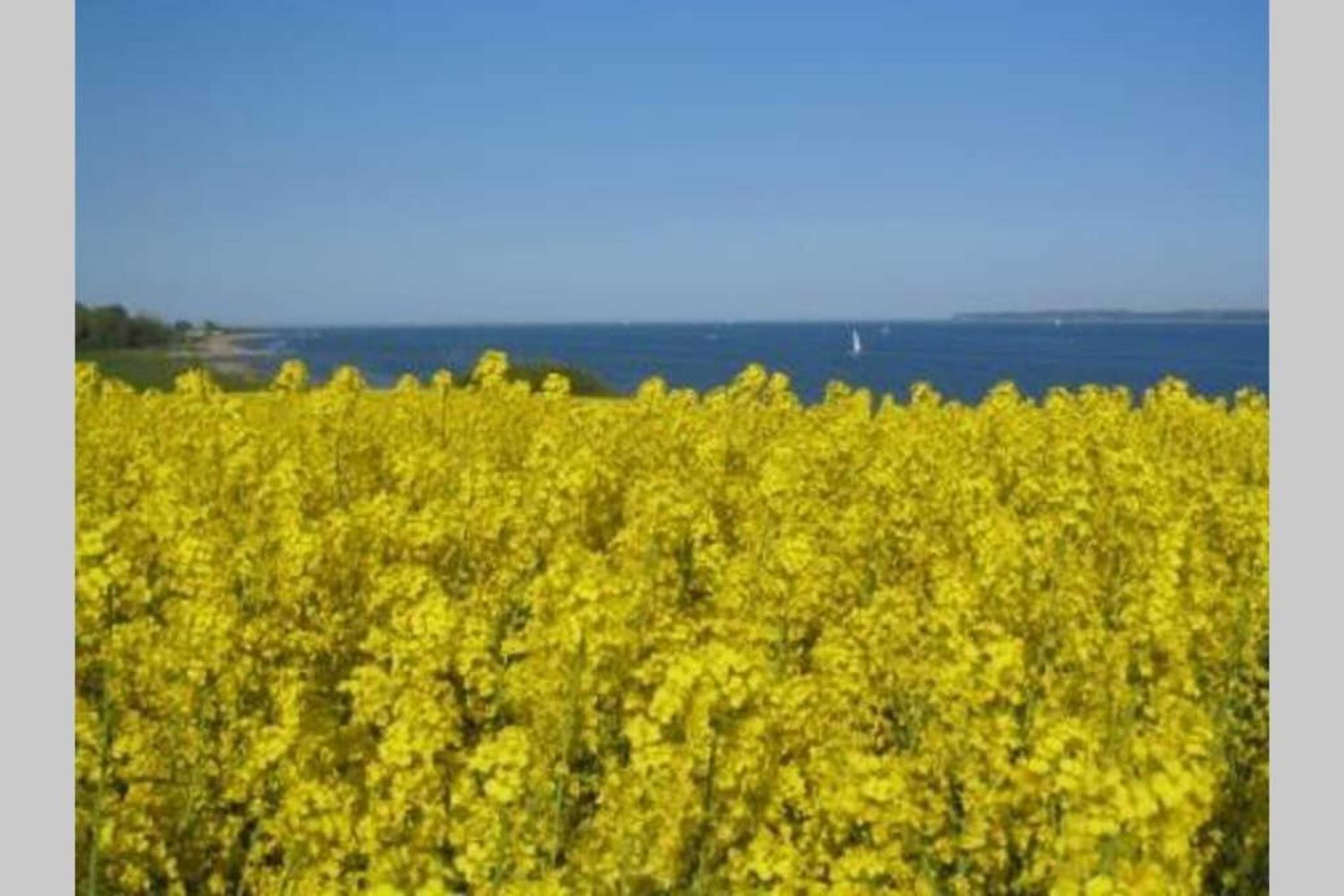 Gift card for Gut Hohenstein