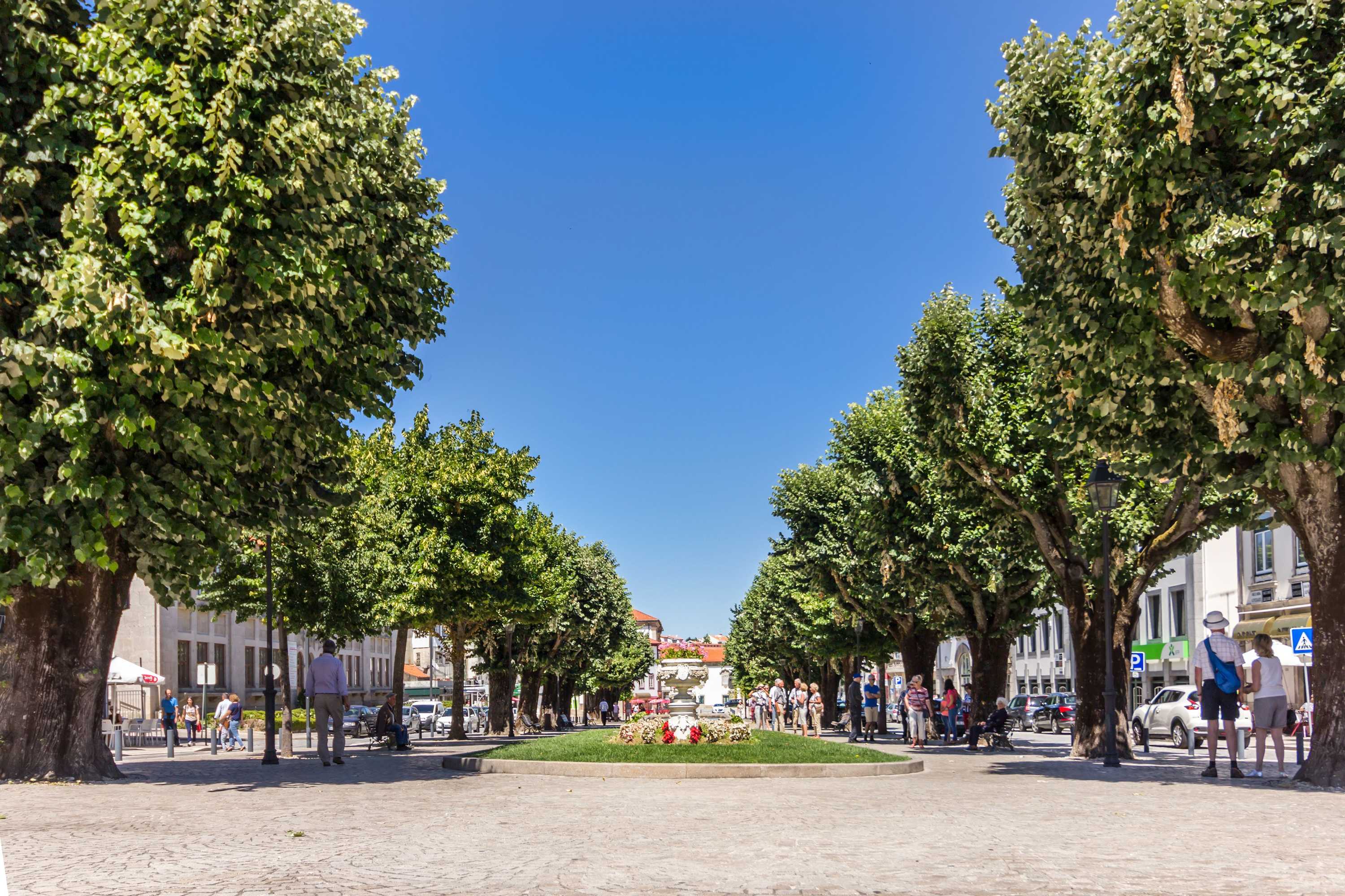 Gift card for Casa de Monsanto I Lamego