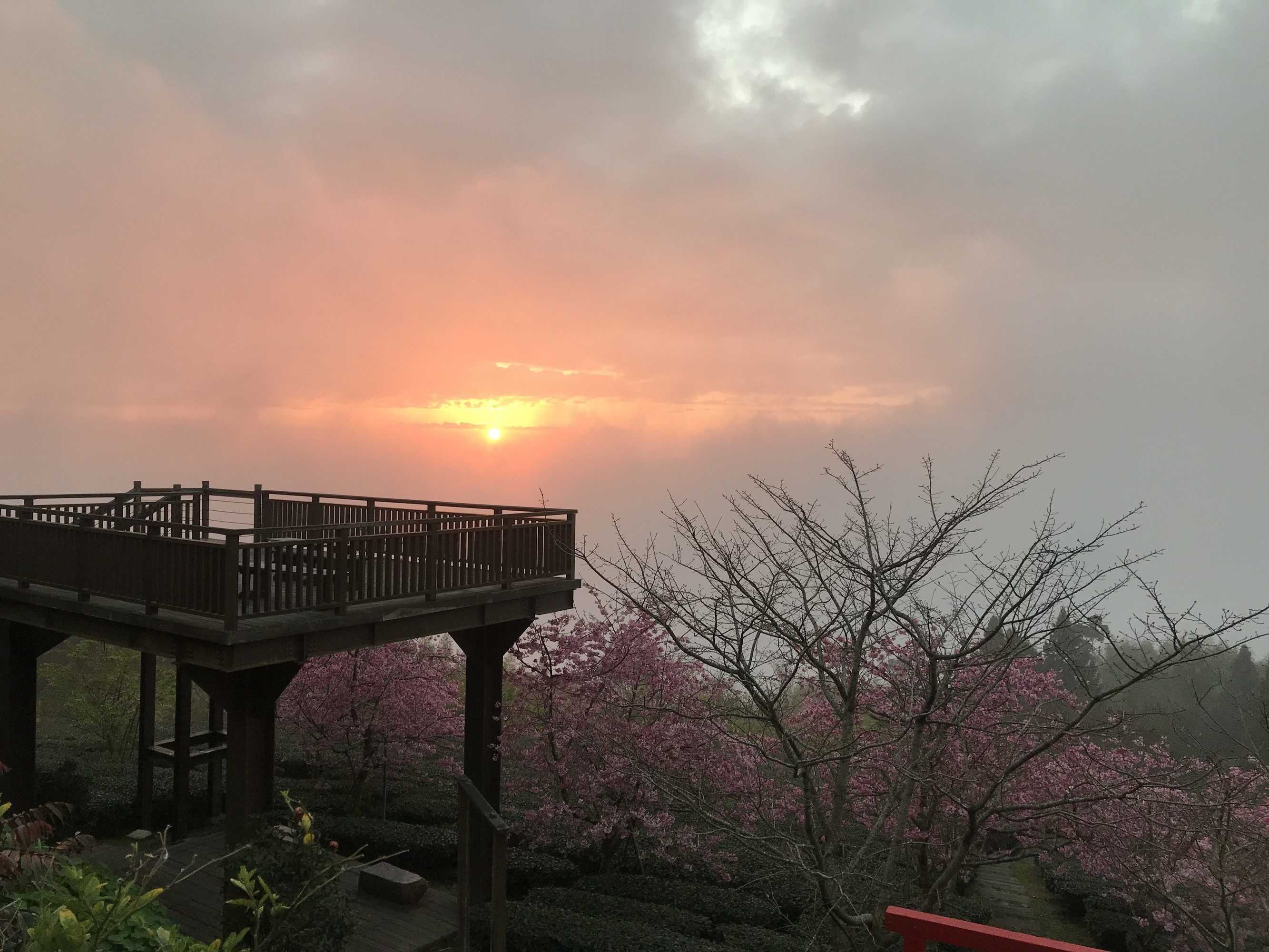 Gift card for Zhu Yuan Homestay