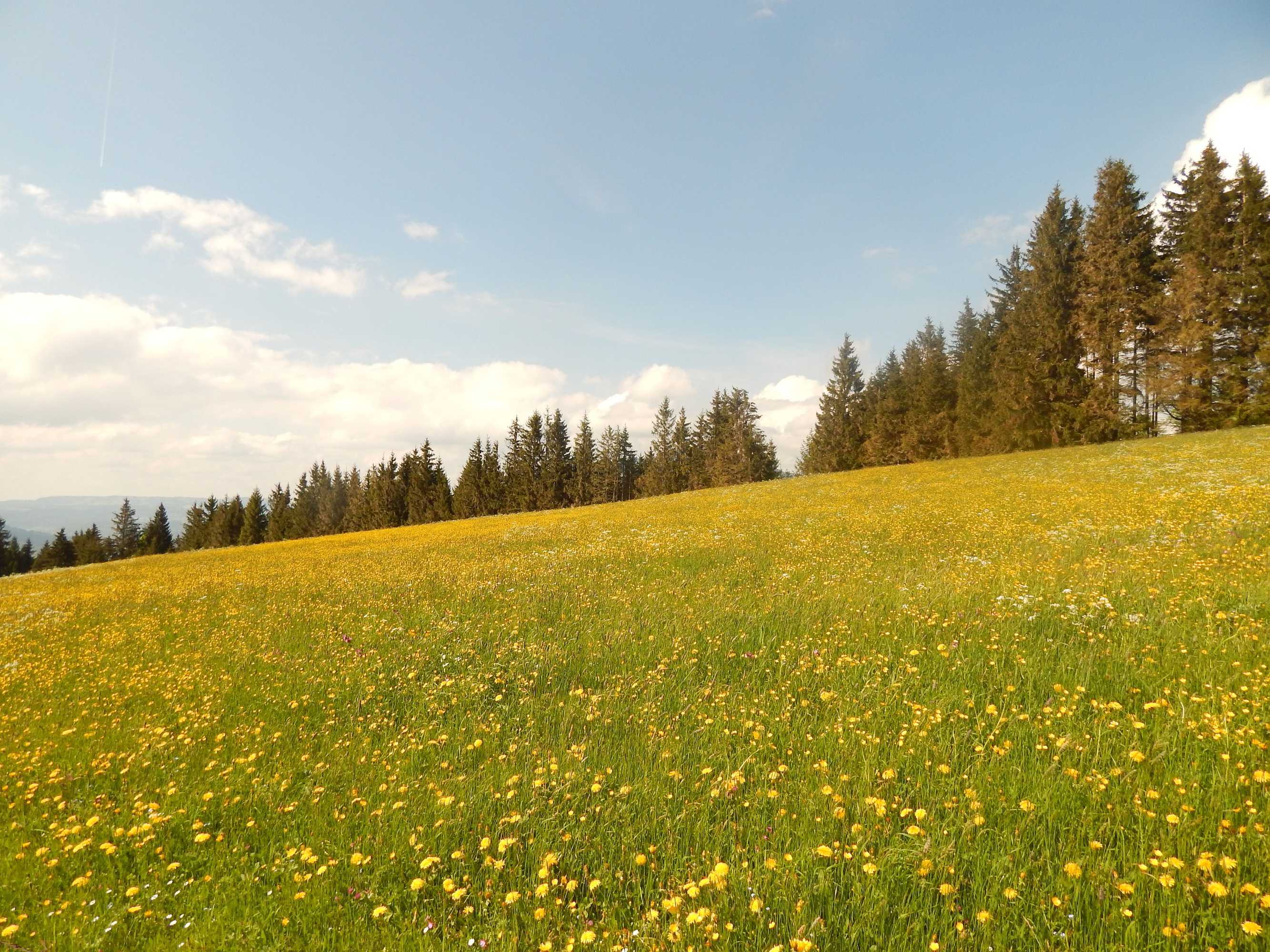 Gift card for Hotel Bergsonne Allgäu