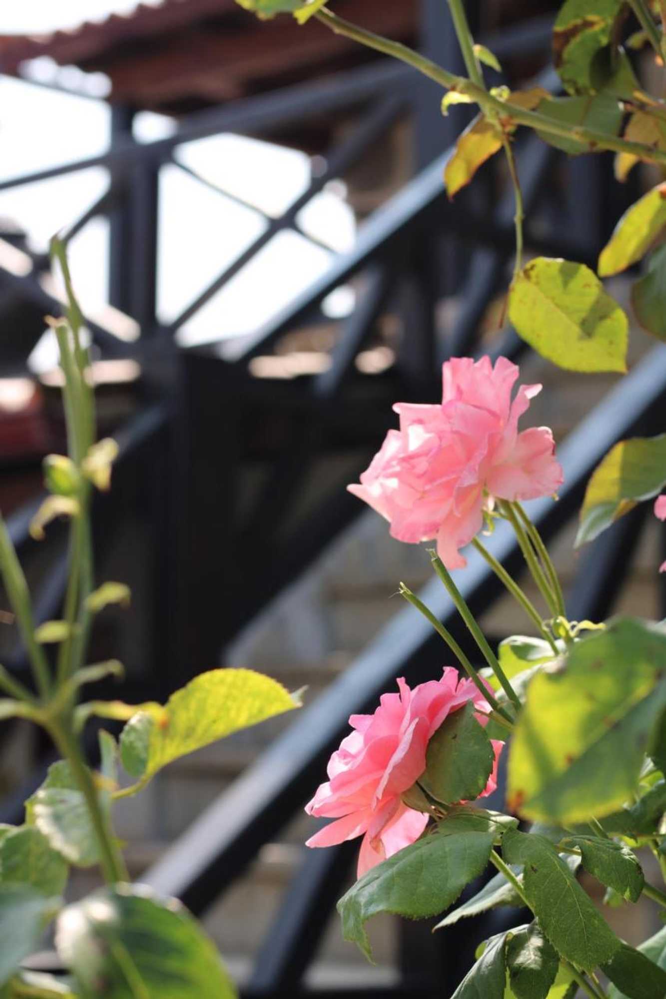 Gift card for Casa da Aldeia da Avó