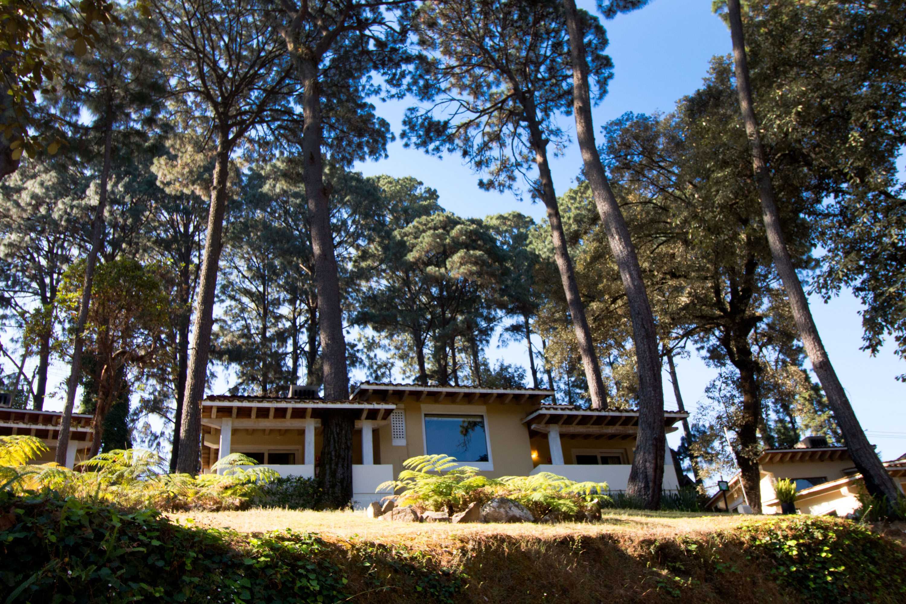 Gift card for Hotel Misión Grand Valle De Bravo Gift card for Hotel Misión Grand Valle De Bravo