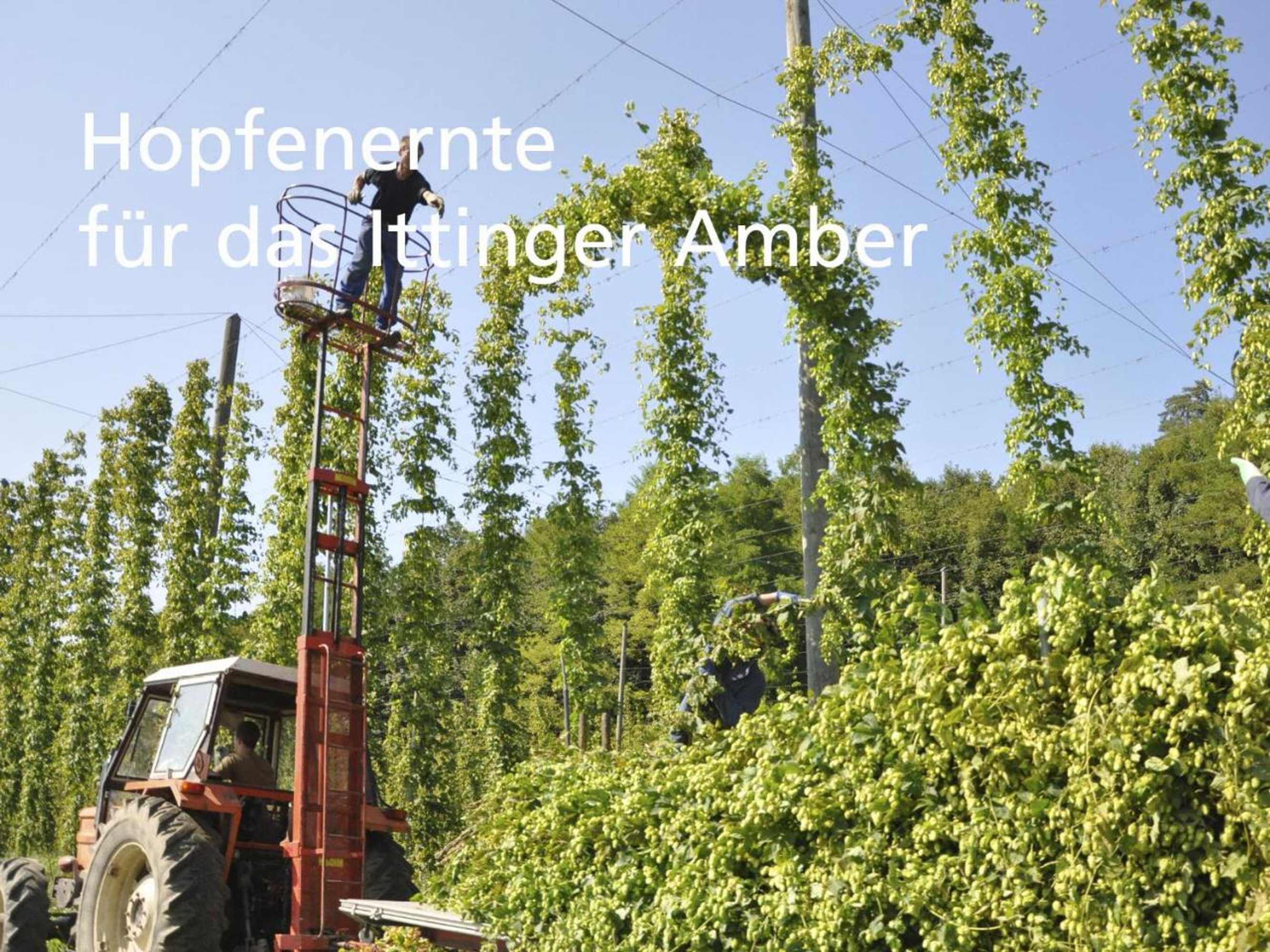 Gift card for Stiftung Kartause Ittingen