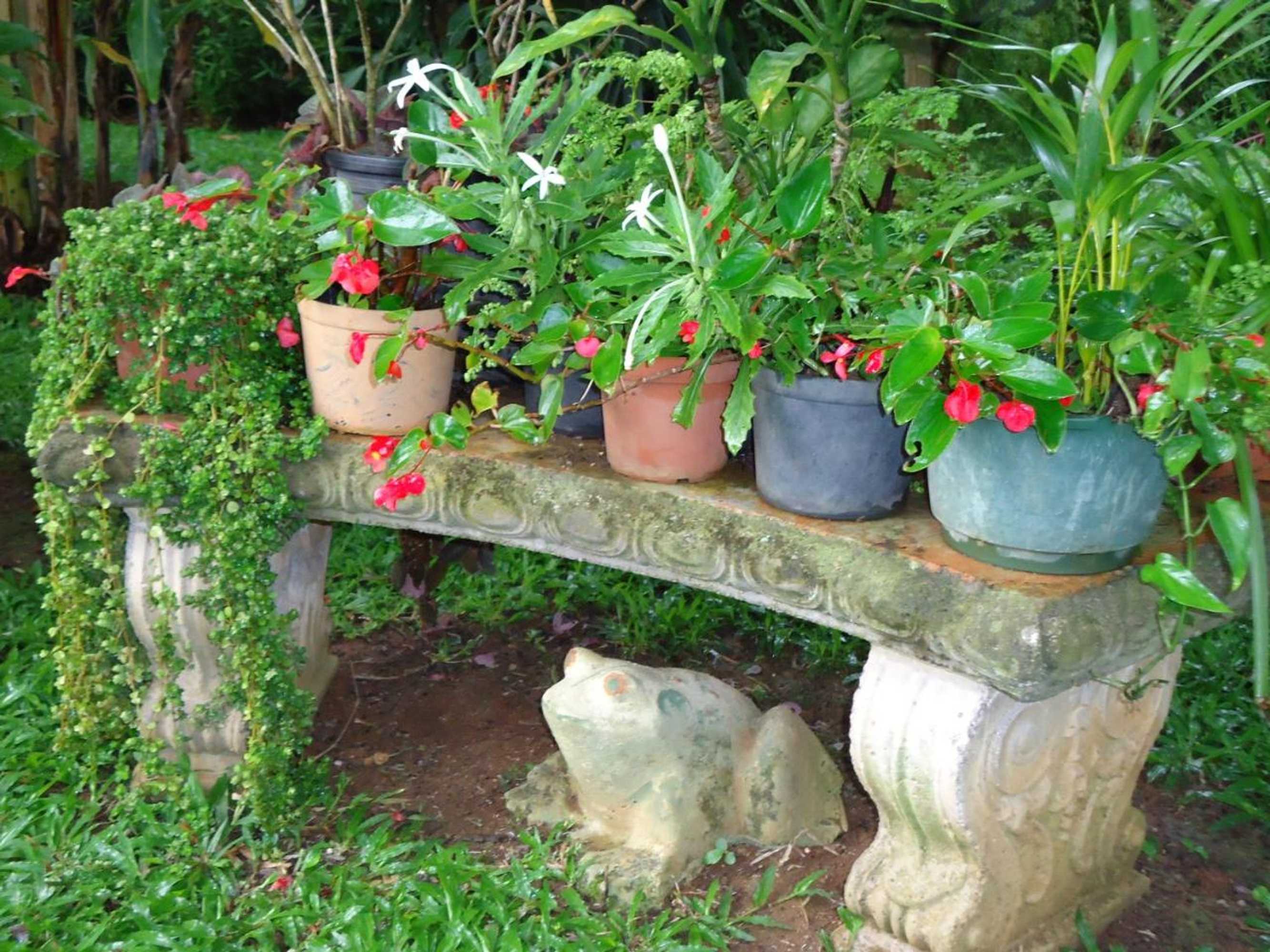 Gift card for Apartamentos Las Tabaibas