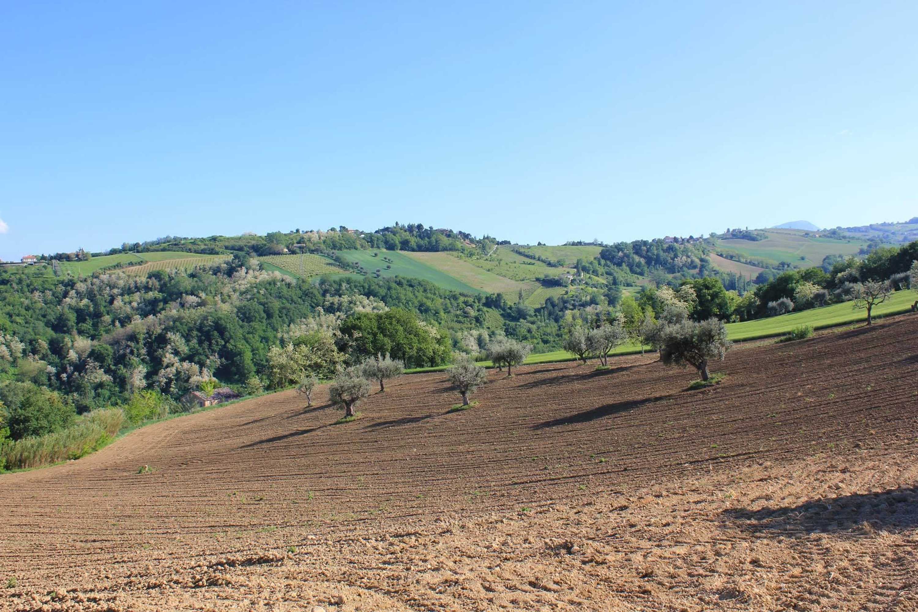 Gift card for Agriturismo La Vecchia Fonte Gift card for Agriturismo La Vecchia Fonte