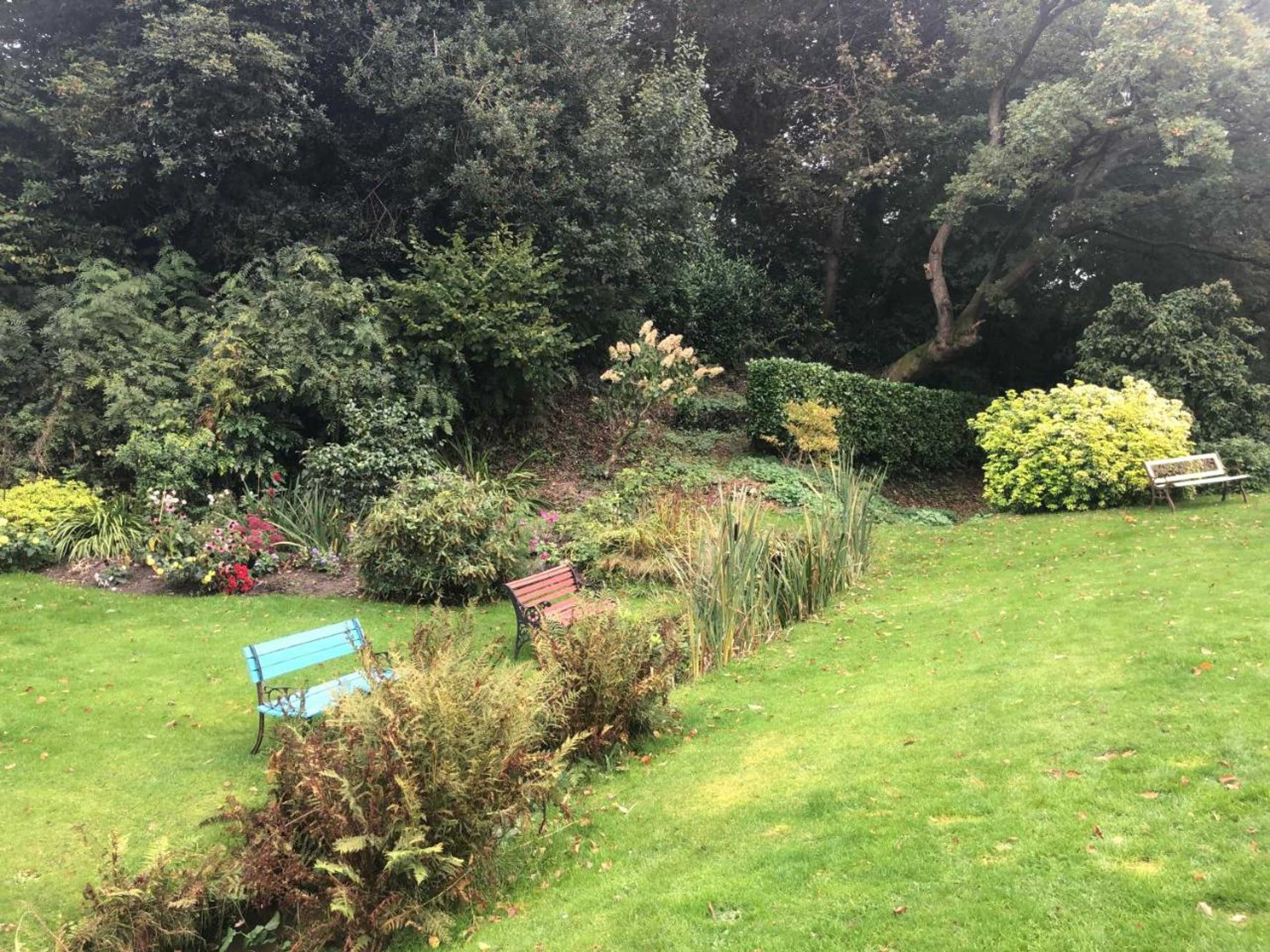 Gift card for The Oaks