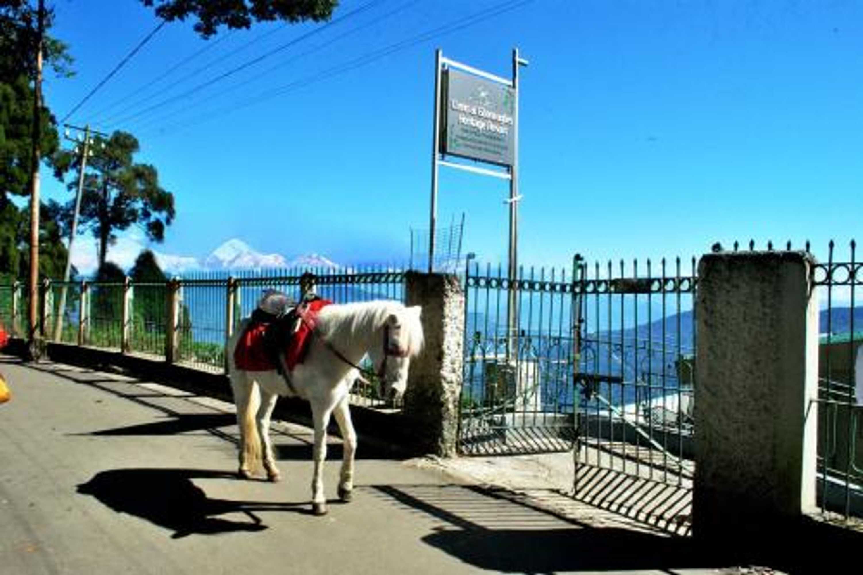 Gift card for Central Gleneagles Heritage Resort Former Bungalow of Ex-Tata Chairman Russi Mody The Mall Road Darjeeling Gift card for Central Gleneagles Heritage Resort Former Bungalow of Ex-Tata Chairman Russi Mody The Mall Road Darjeeling