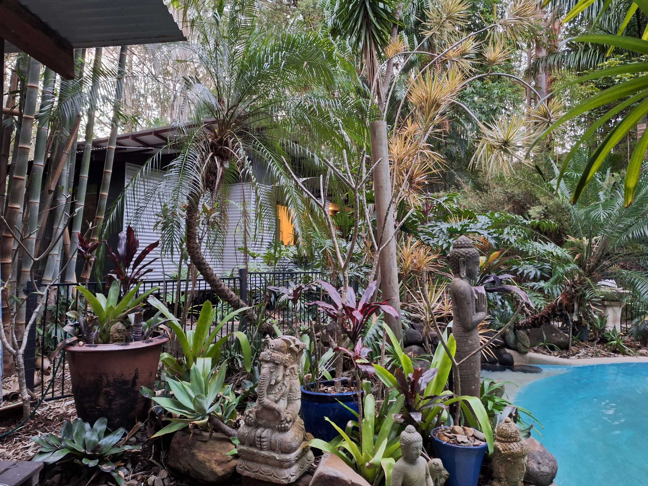 Gift card for Alaya Ascend